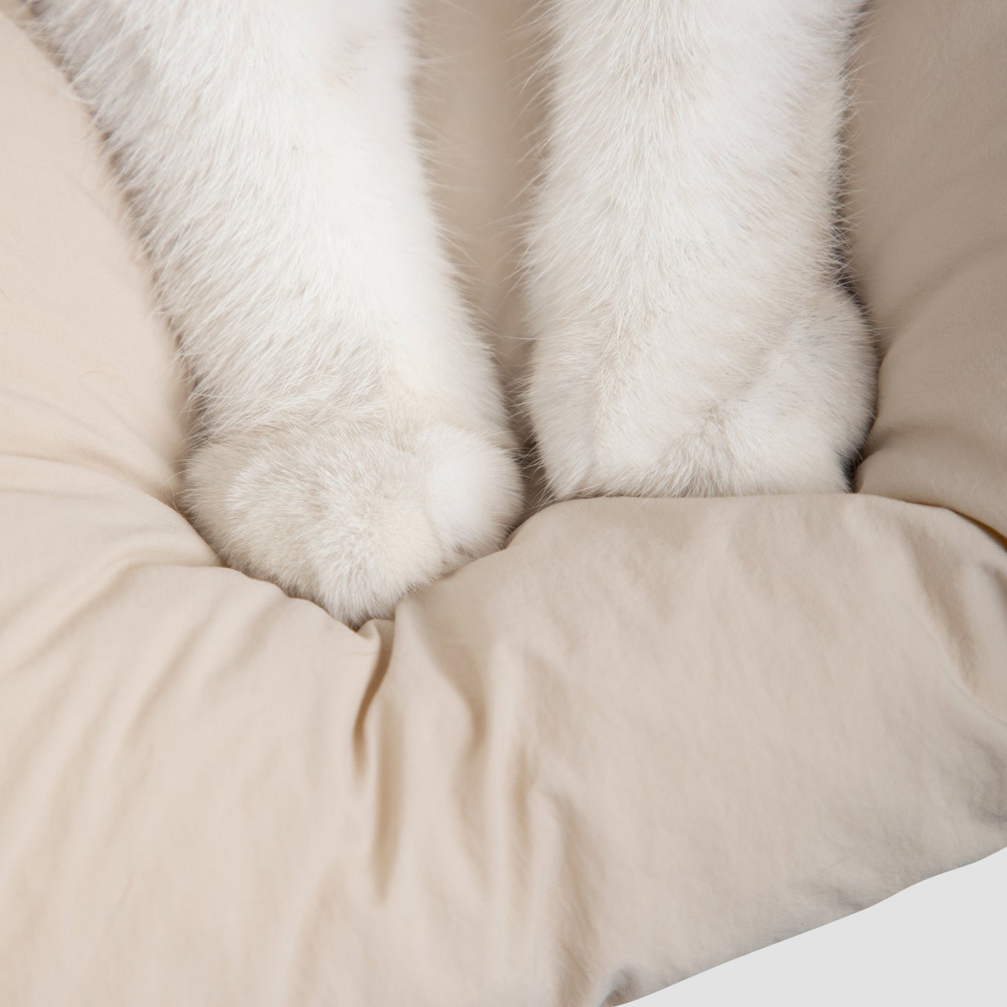 Soft Pet Outdoor Crossbody Bag [Almond Custard - Pre-Order]