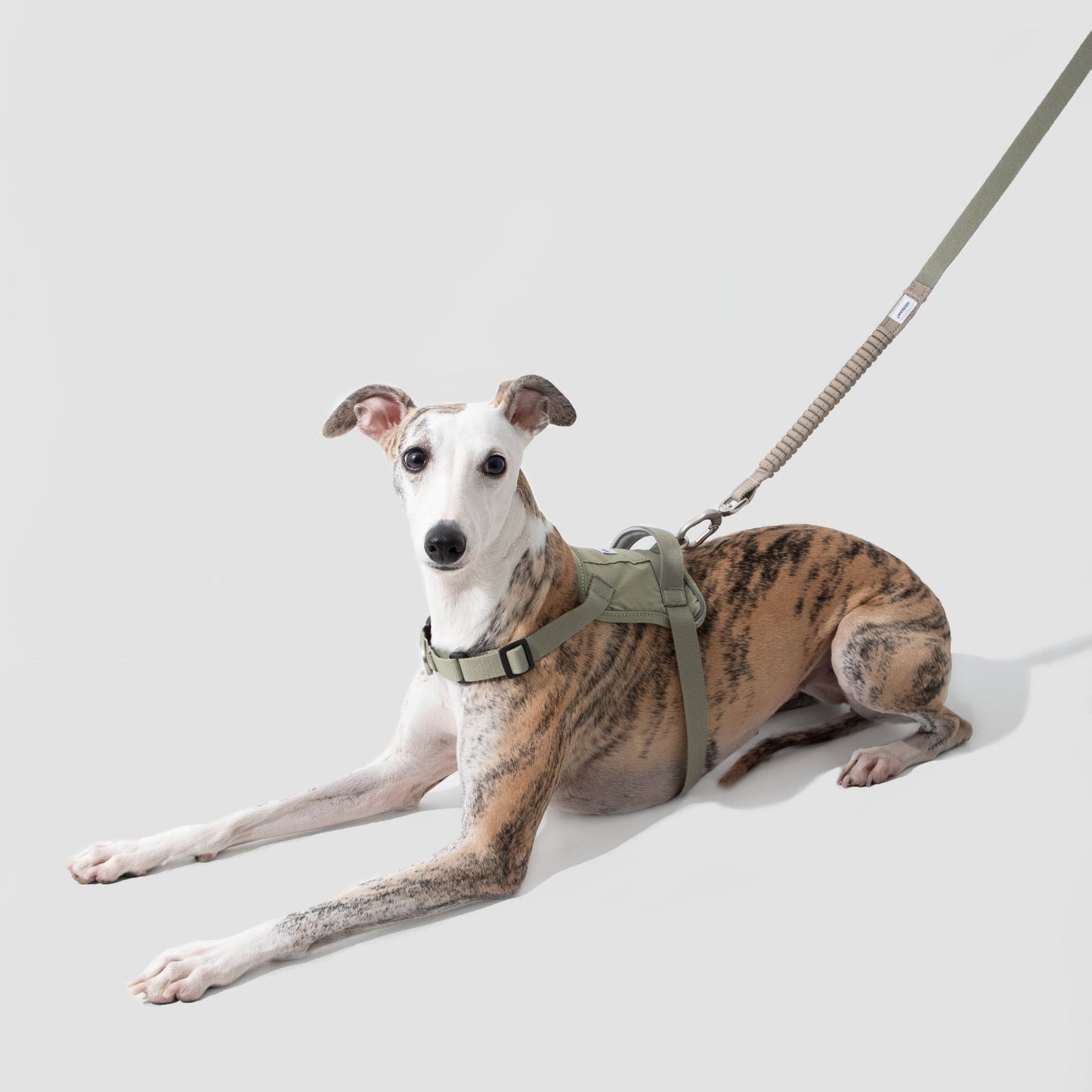 Valley Series Dog Multifunctional Buffer Traction Rope [Olive Green]