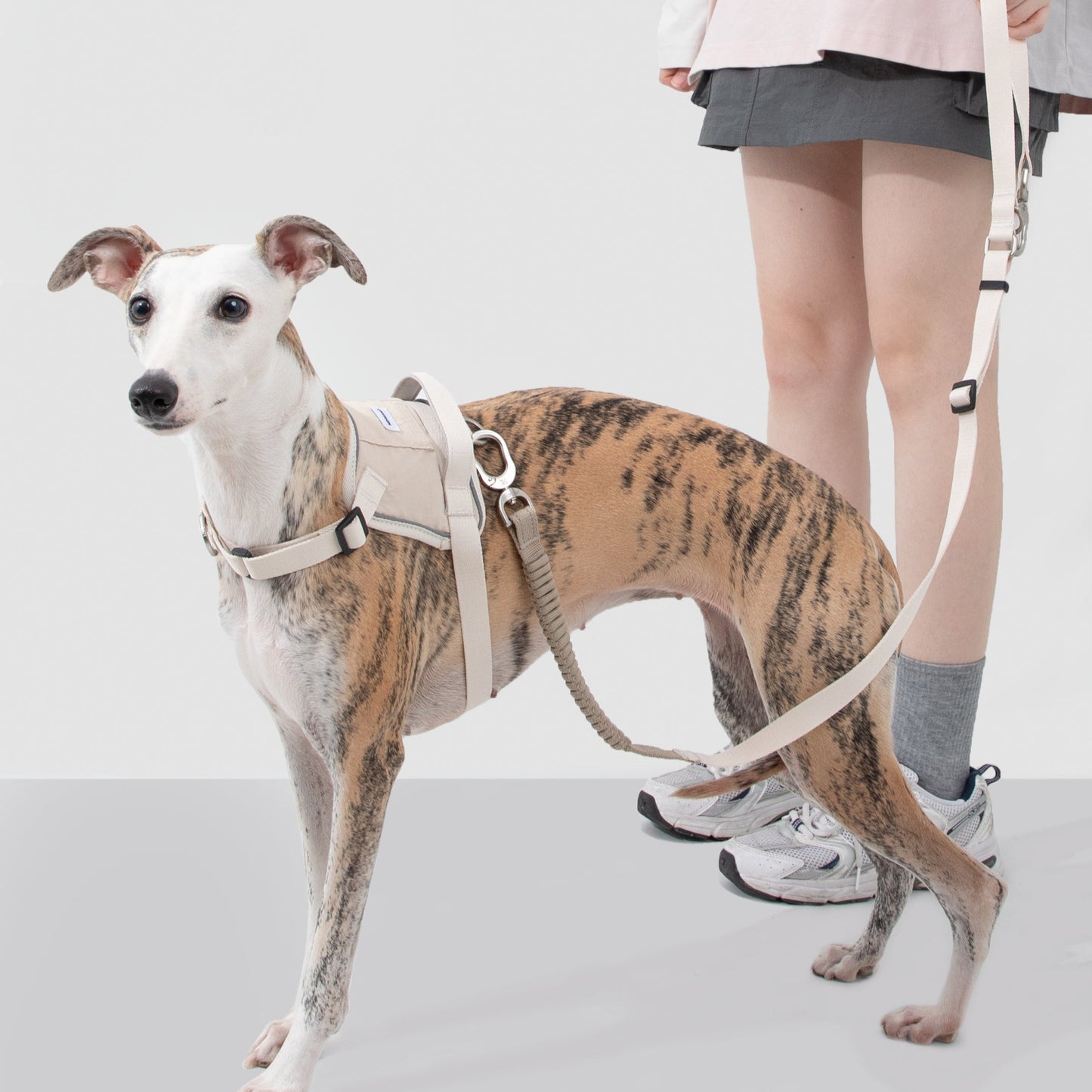 Valley Series Dog Multifunctional Buffer Traction Rope [Milk Brown]