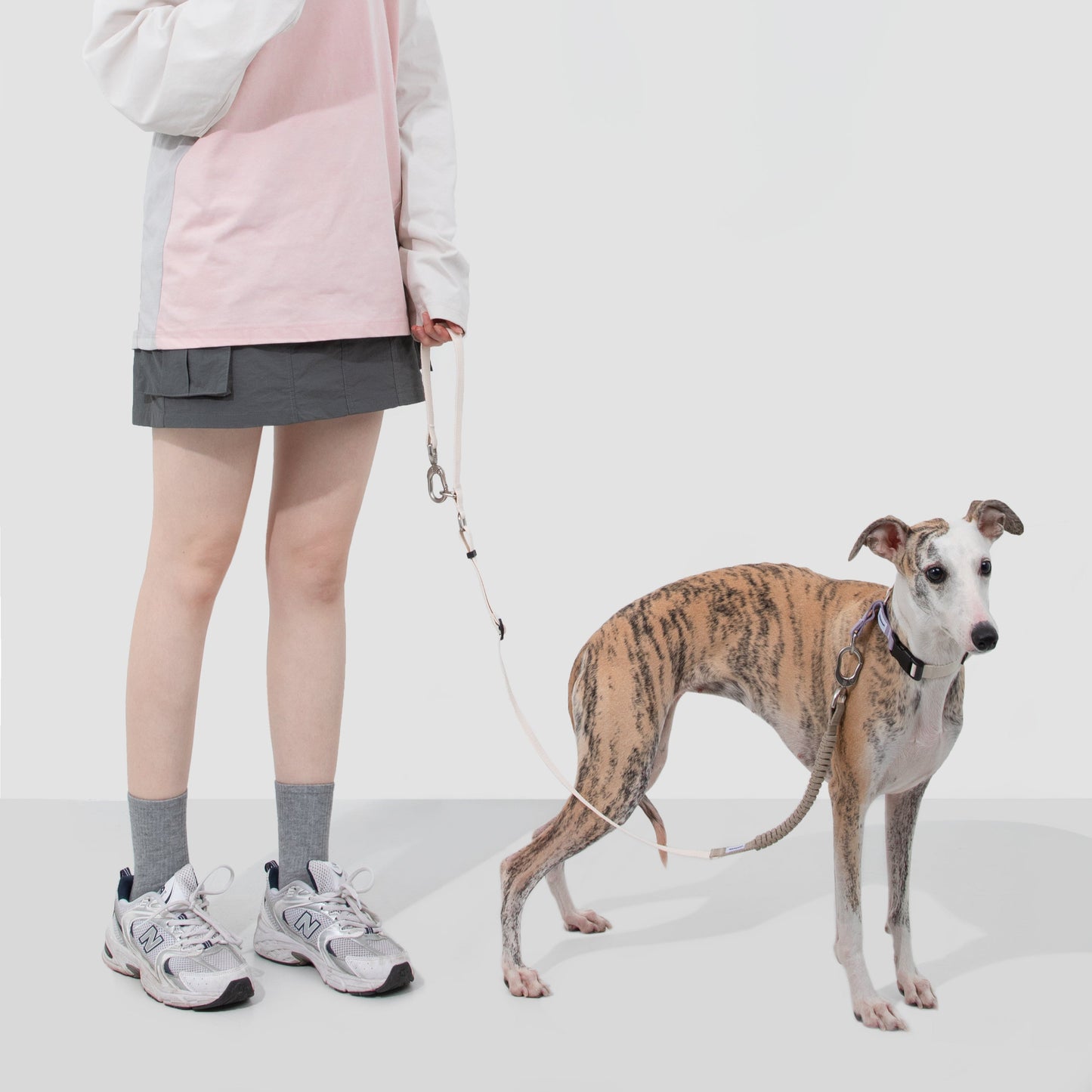 Valley Series Dog Multifunctional Buffer Traction Rope [Milk Brown]