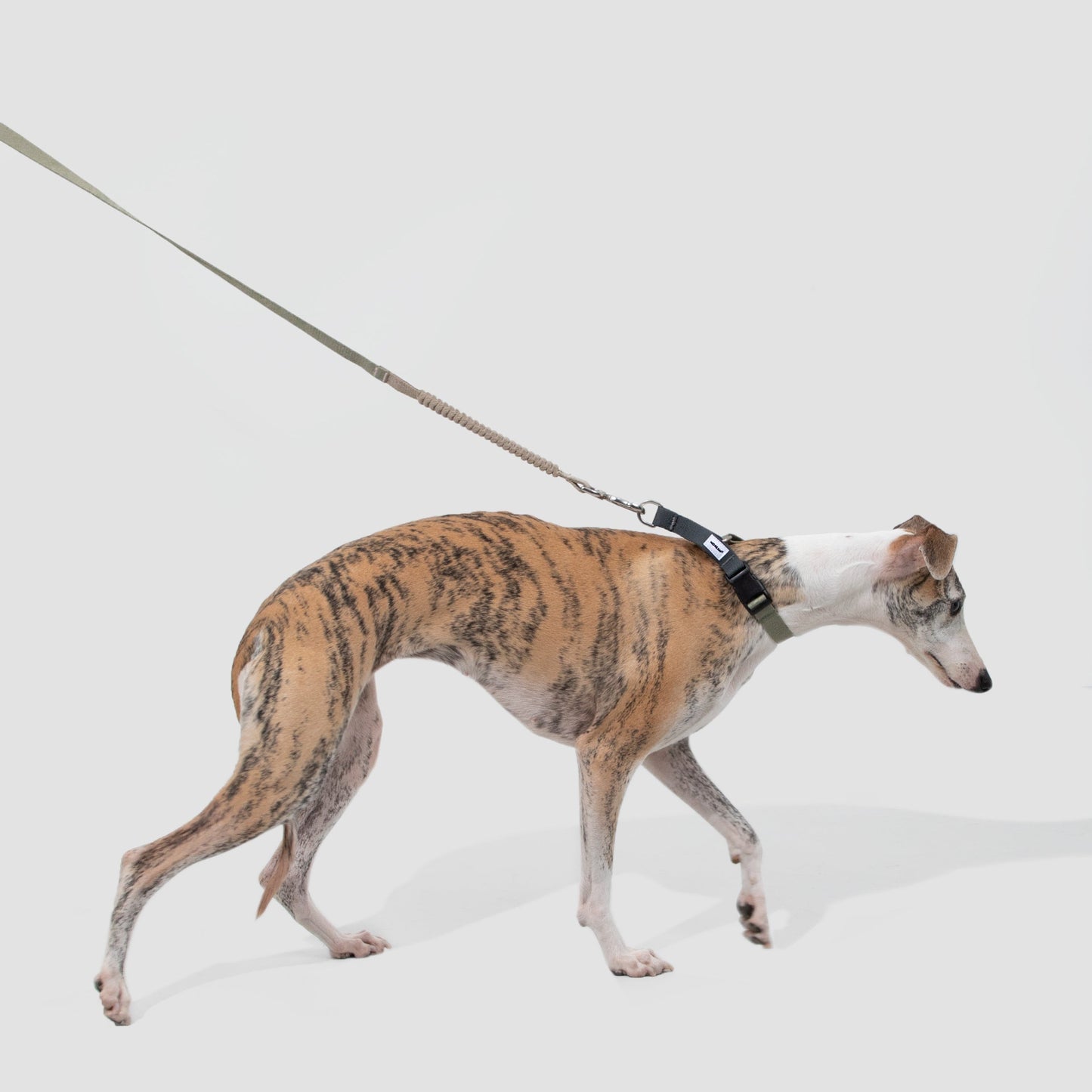 Valley Series Dog Multifunctional Buffer Traction Rope [Olive Green]