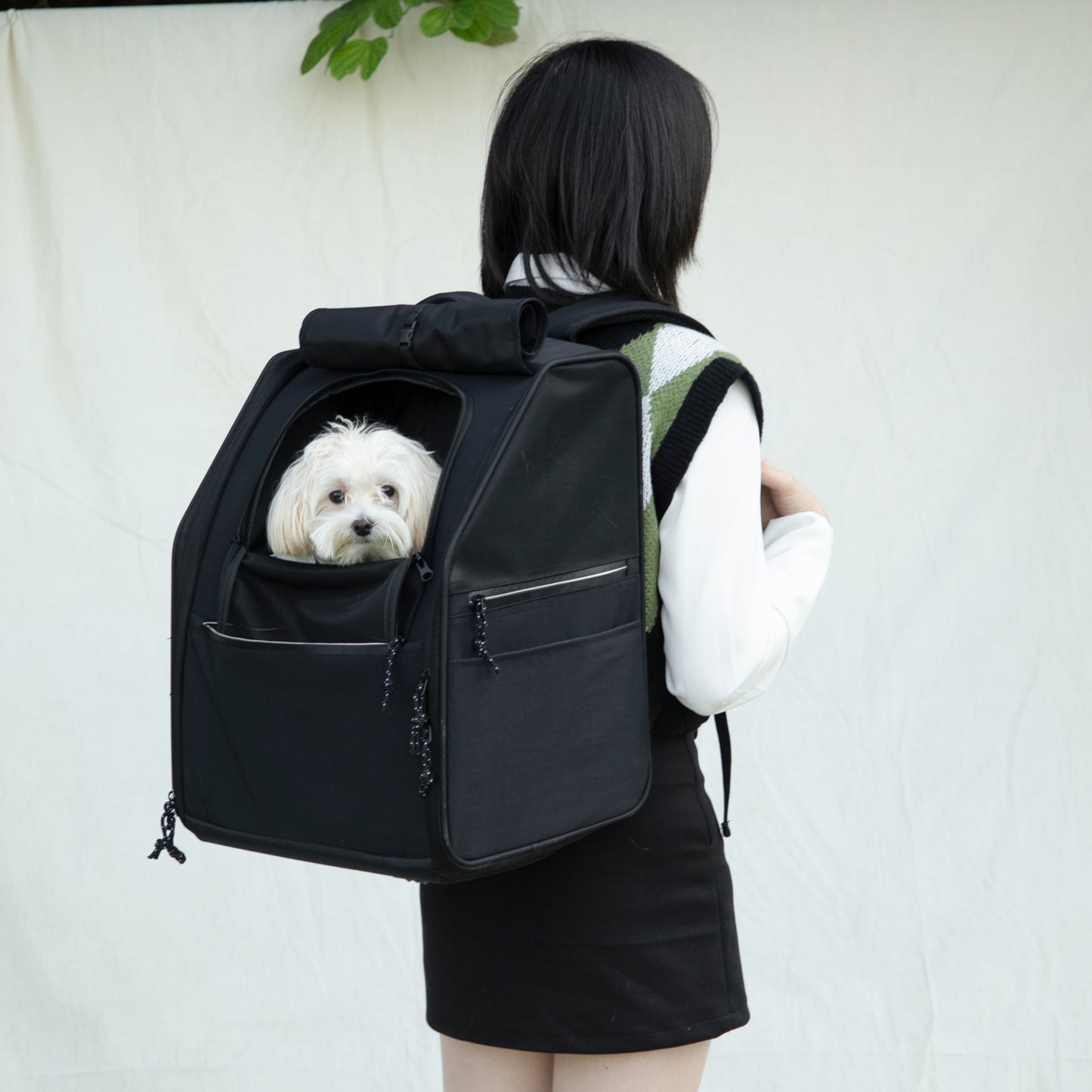 First Class Pet Backpack Carrier [Ebony Black - Pre-Order]