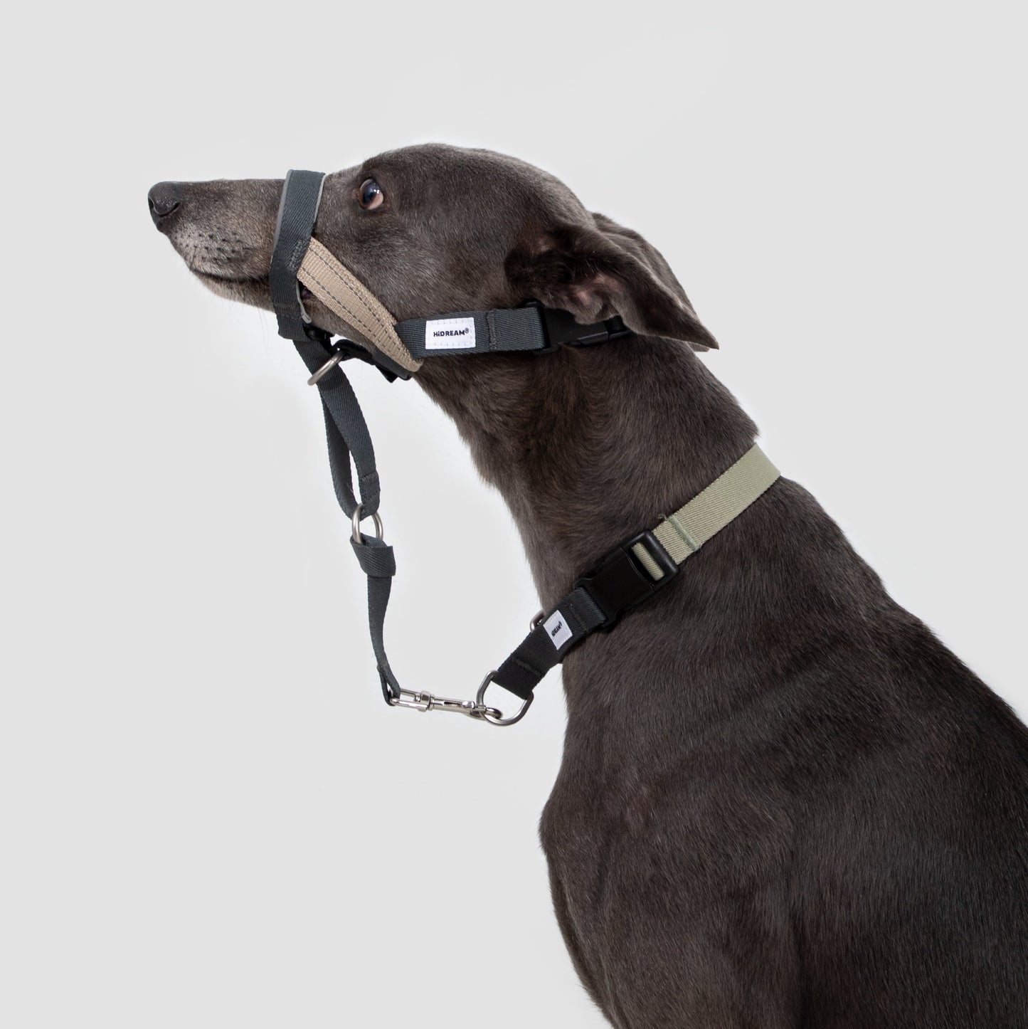 Valley Series Anti-Pulling Dog Muzzle [Buckwheat Grey]