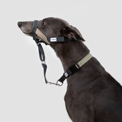 Valley Series Anti-Pulling Dog Muzzle [Buckwheat Grey]