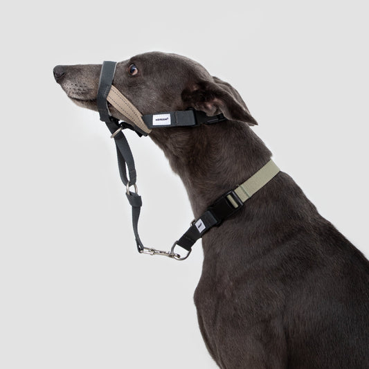 Valley Series Anti-Pulling Dog Muzzle [Buckwheat Grey]