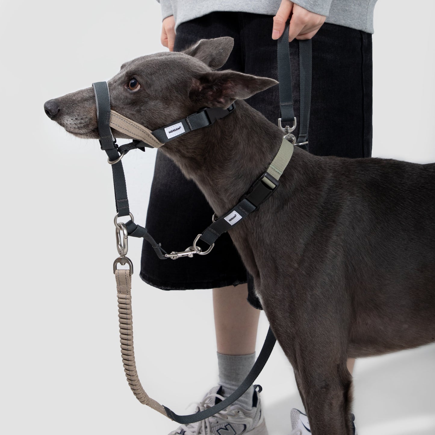 Valley Series Anti-Pulling Dog Muzzle [Buckwheat Grey]