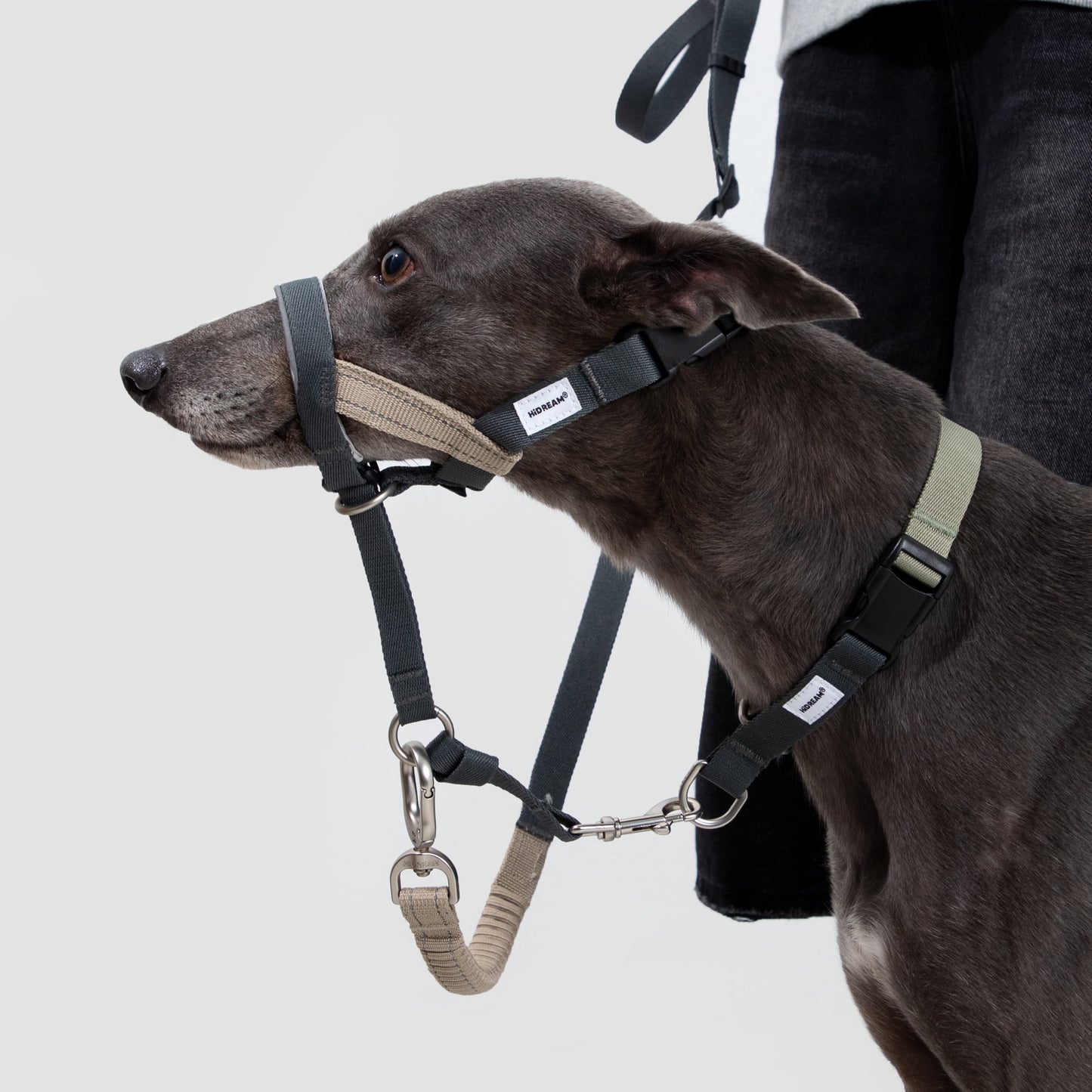 Valley Series Anti-Pulling Dog Muzzle [Buckwheat Grey]