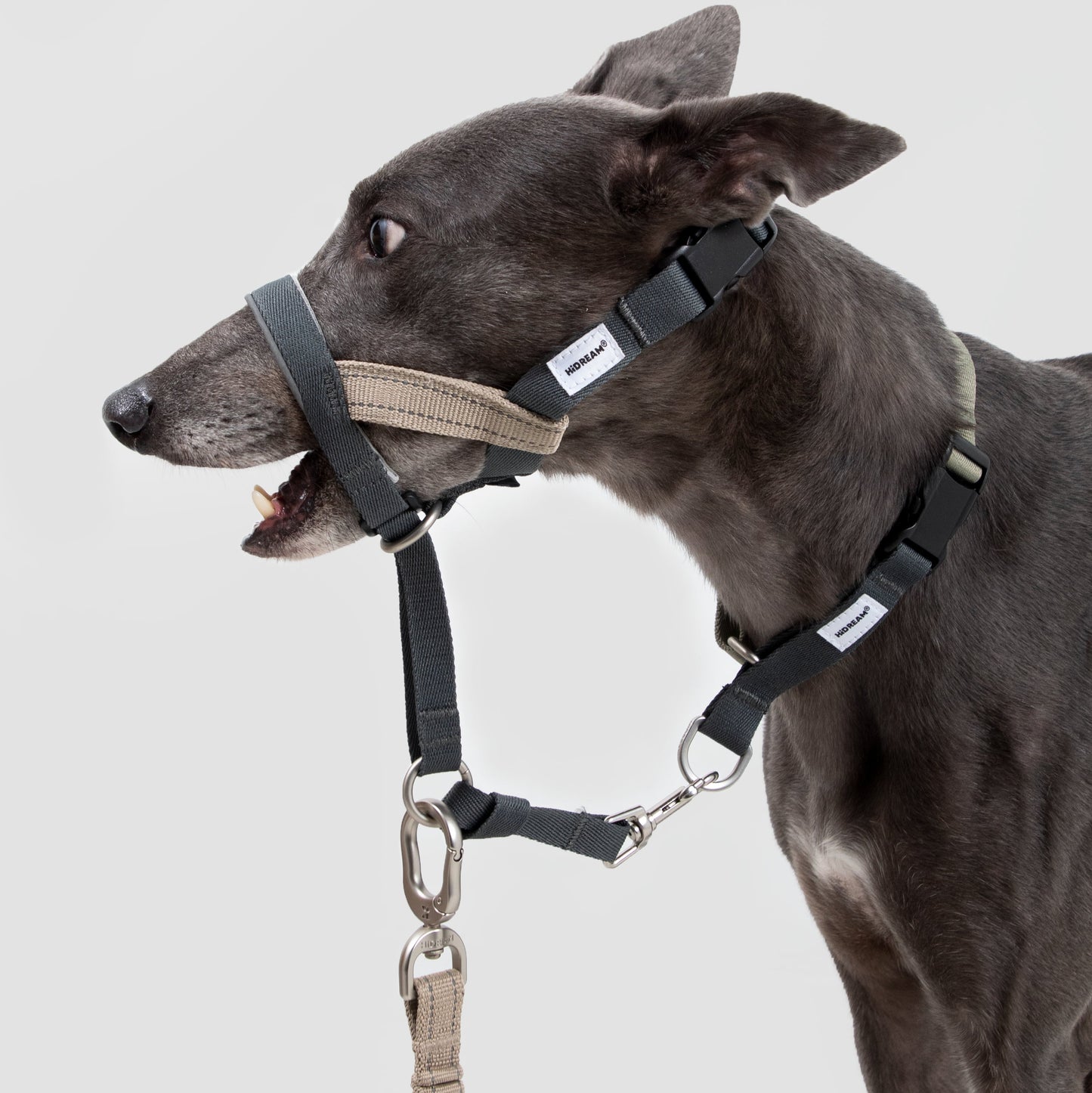 Valley Series Anti-Pulling Dog Muzzle [Buckwheat Grey]