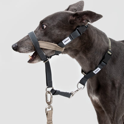 Valley Series Anti-Pulling Dog Muzzle [Buckwheat Grey]