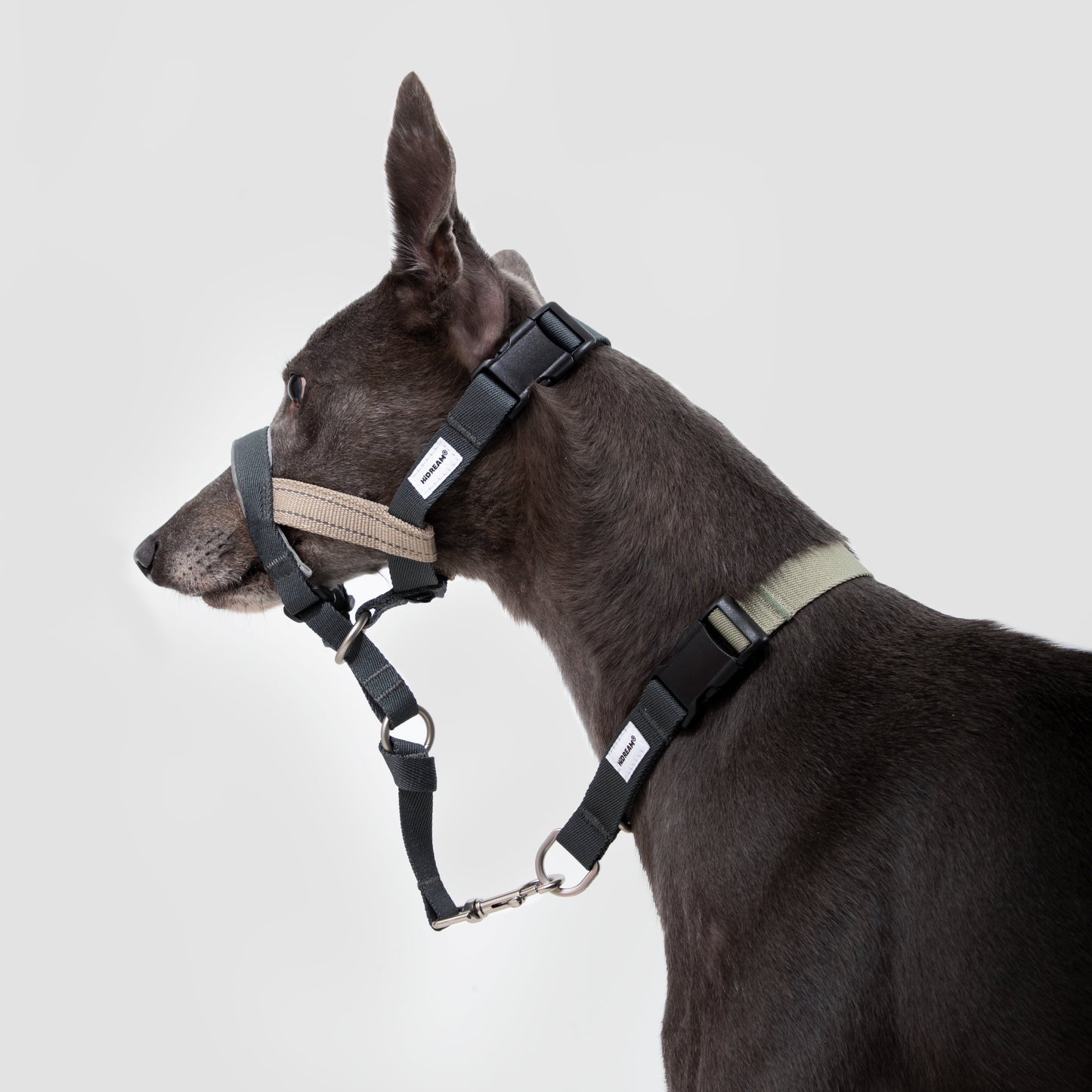 Valley Series Anti-Pulling Dog Muzzle [Buckwheat Grey]