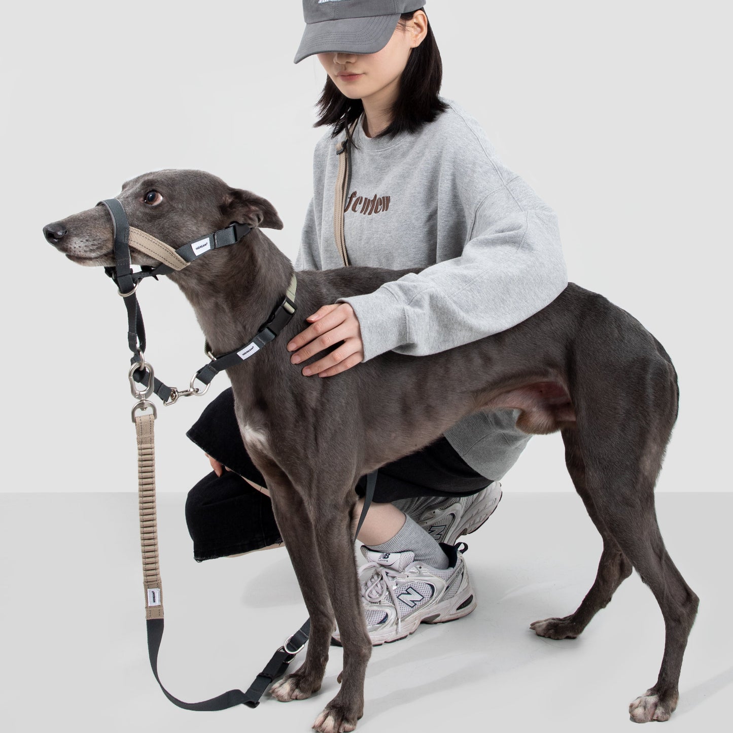Valley Series Anti-Pulling Dog Muzzle [Buckwheat Grey]