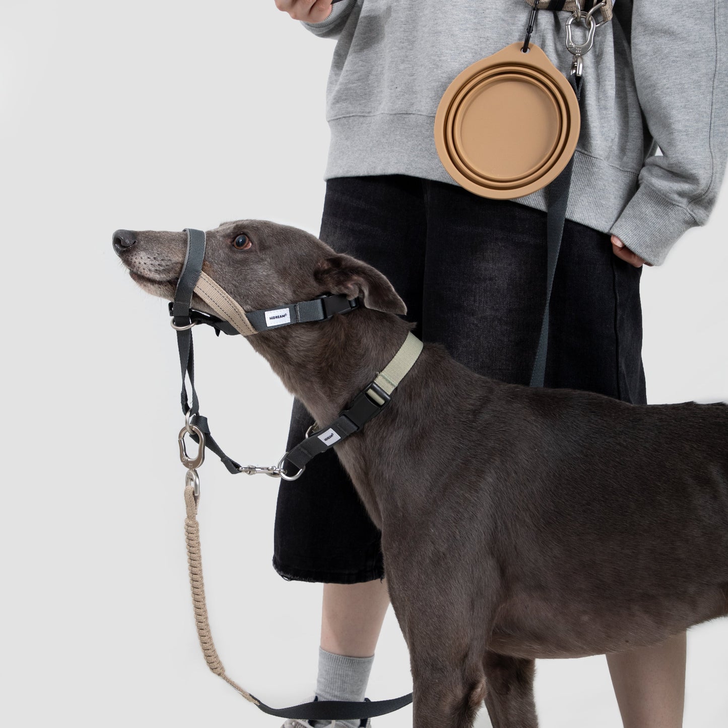 Valley Series Anti-Pulling Dog Muzzle [Buckwheat Grey]