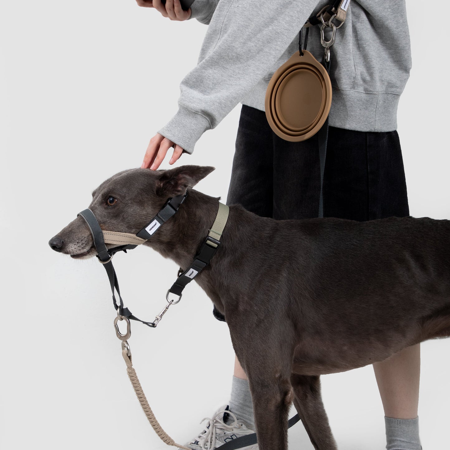 Valley Series Anti-Pulling Dog Muzzle [Buckwheat Grey]