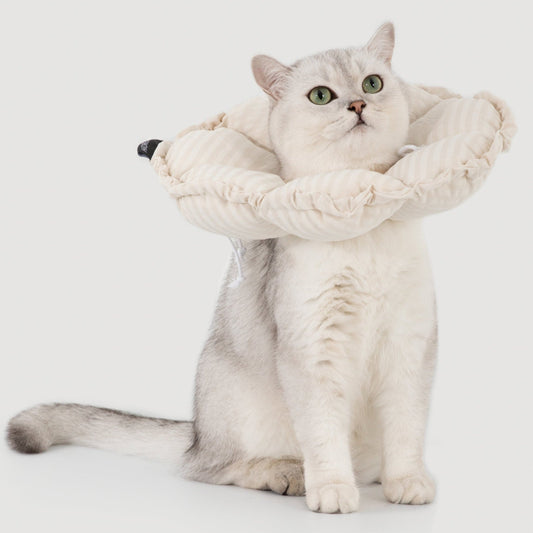 Flower Shaped Elizabeth Collar for Dog & Cat [Egg White - New]