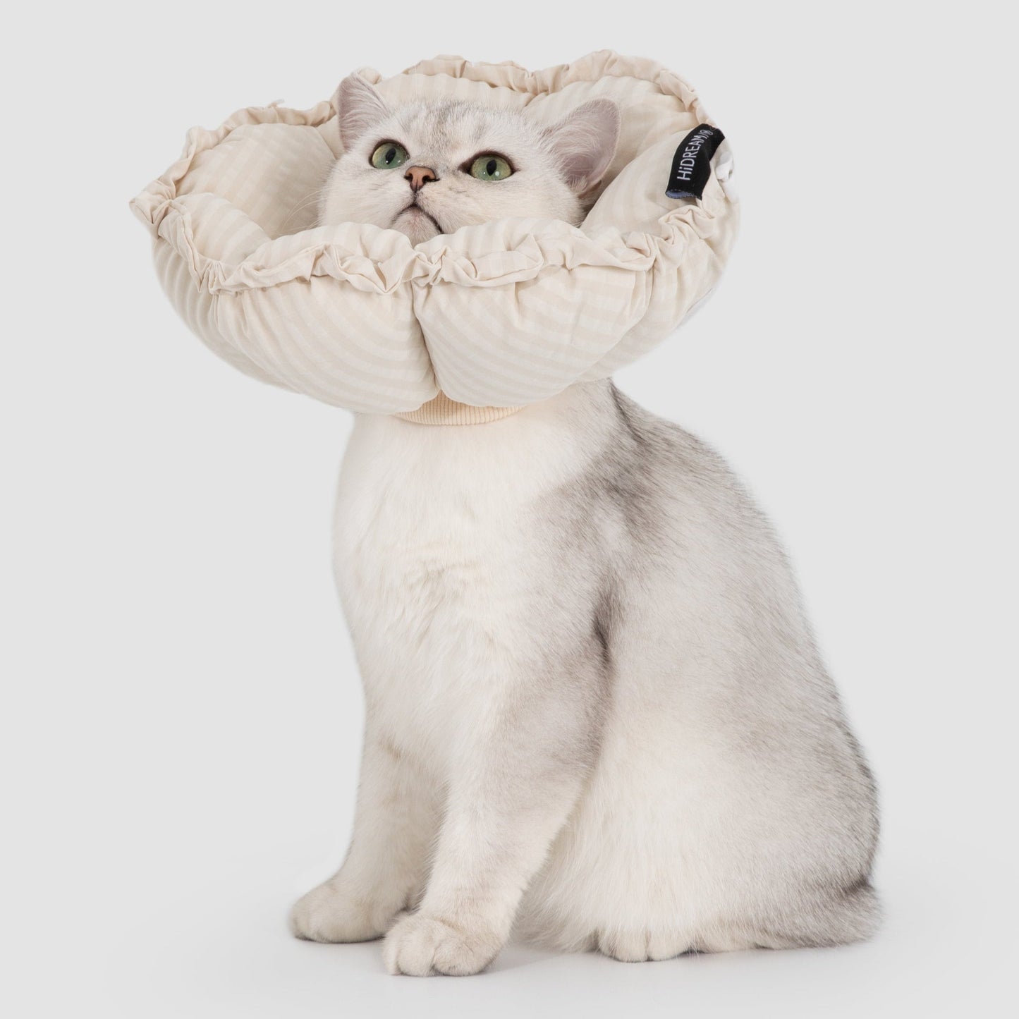 Flower Shaped Elizabeth Collar for Dog & Cat [Egg White - New]