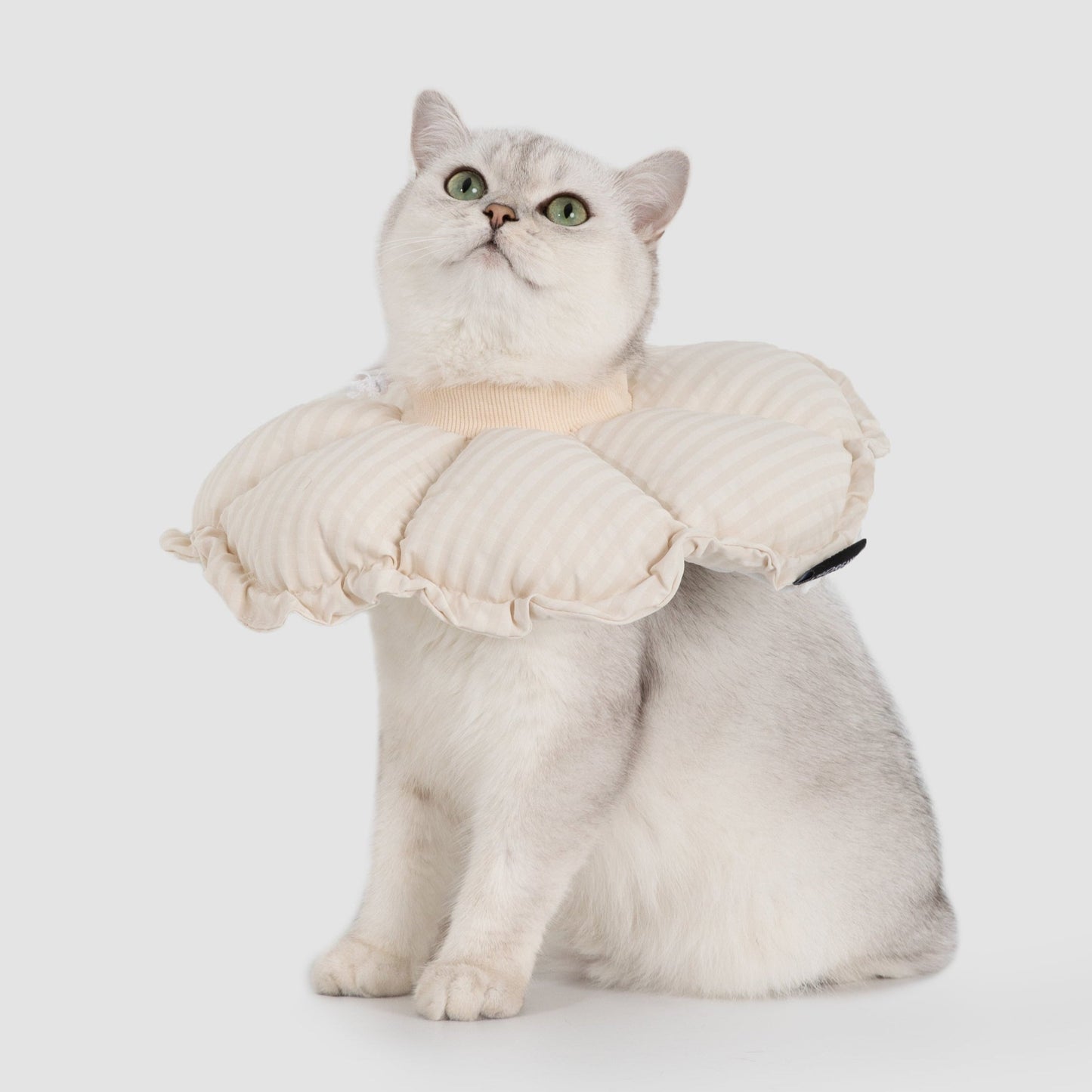 Flower Shaped Elizabeth Collar for Dog & Cat [Egg White - New]