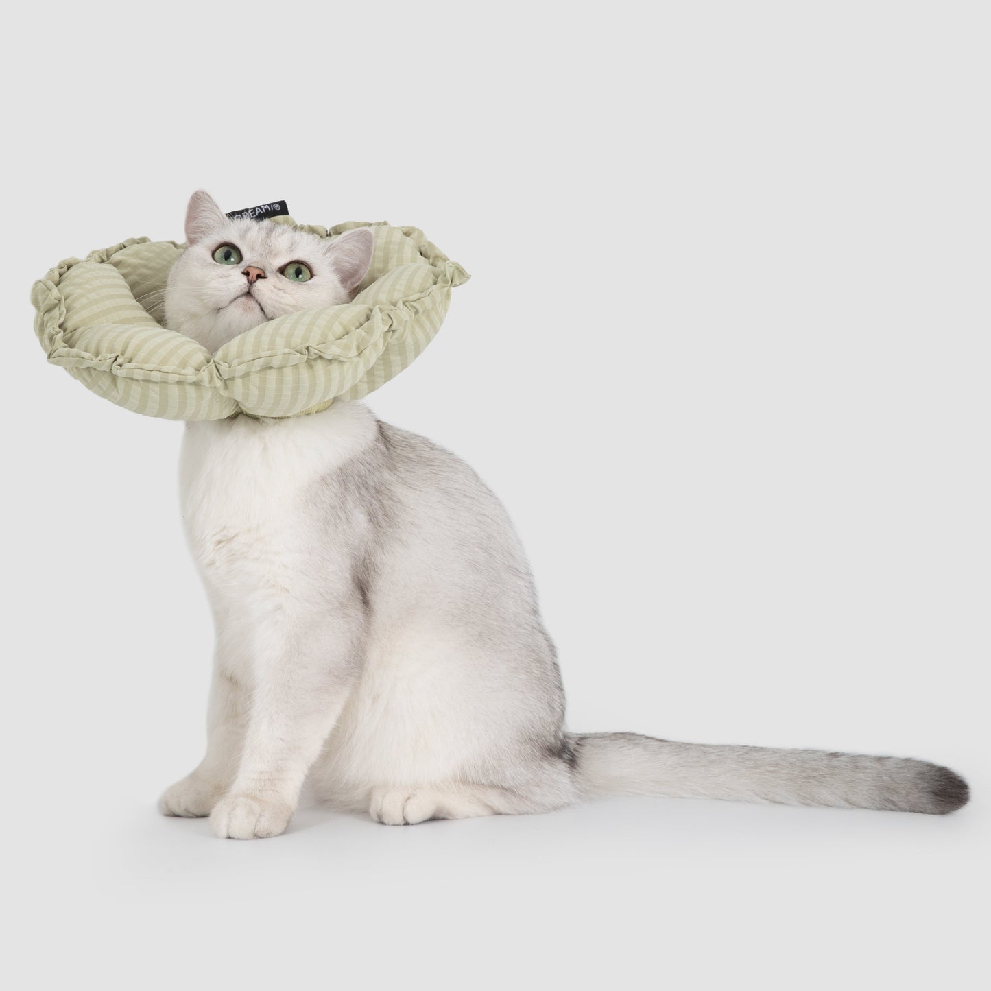 Flower Shaped Elizabeth Collar for Dog & Cat [Lime Green - New]