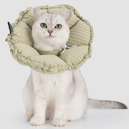 Flower Shaped Elizabeth Collar for Dog & Cat [Lime Green - New]