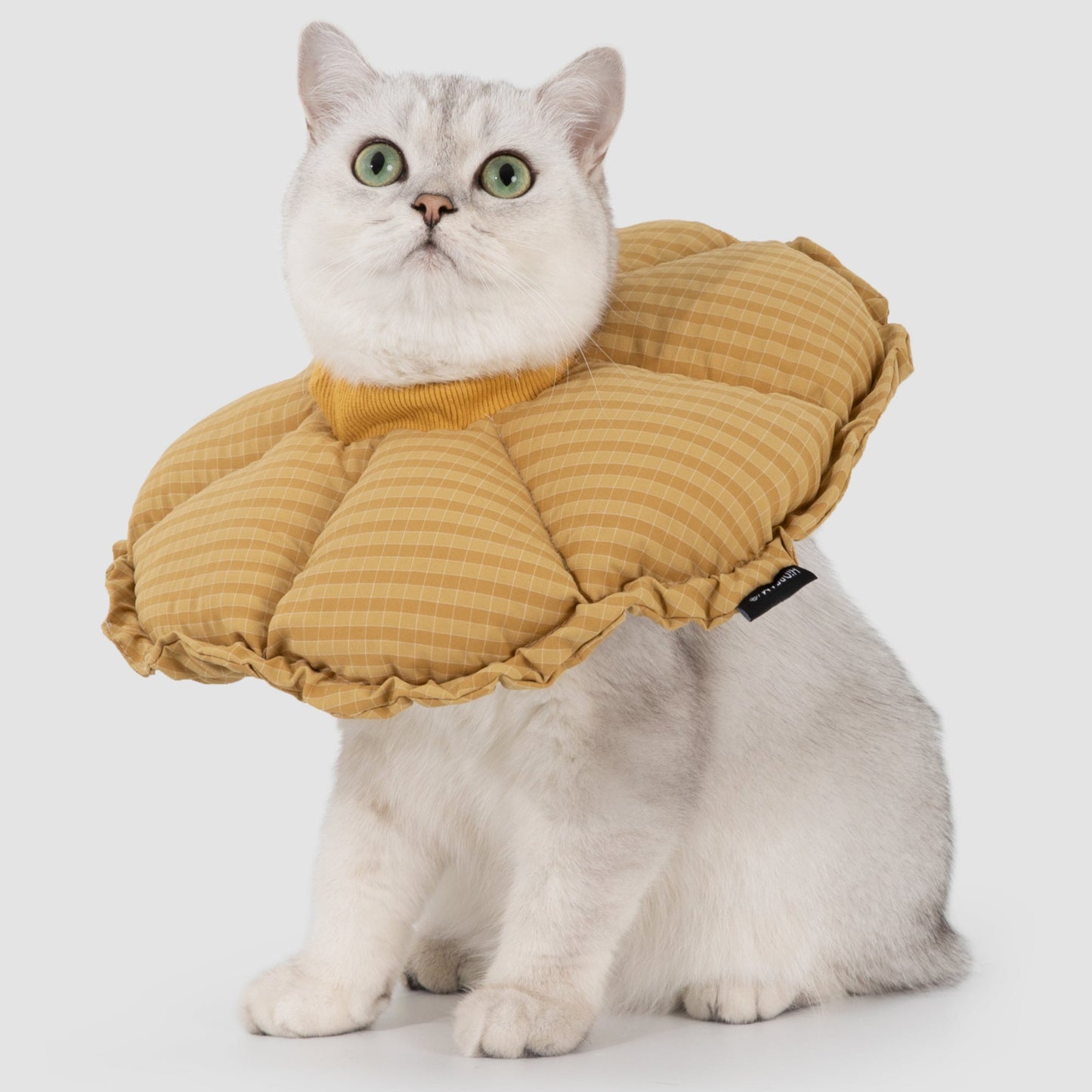 Flower Shaped Elizabeth Collar for Dog & Cat [Daisy Yellow - New]