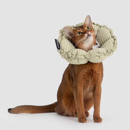 Flower Shaped Elizabeth Collar for Dog & Cat [Lime Green - New]