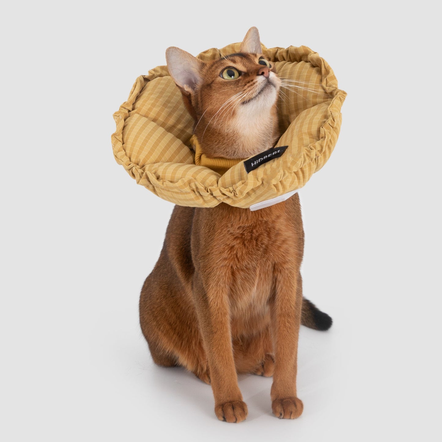 Flower Shaped Elizabeth Collar for Dog & Cat [Daisy Yellow - New]