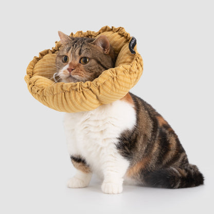 Flower Shaped Elizabeth Collar for Dog & Cat [Daisy Yellow - New]