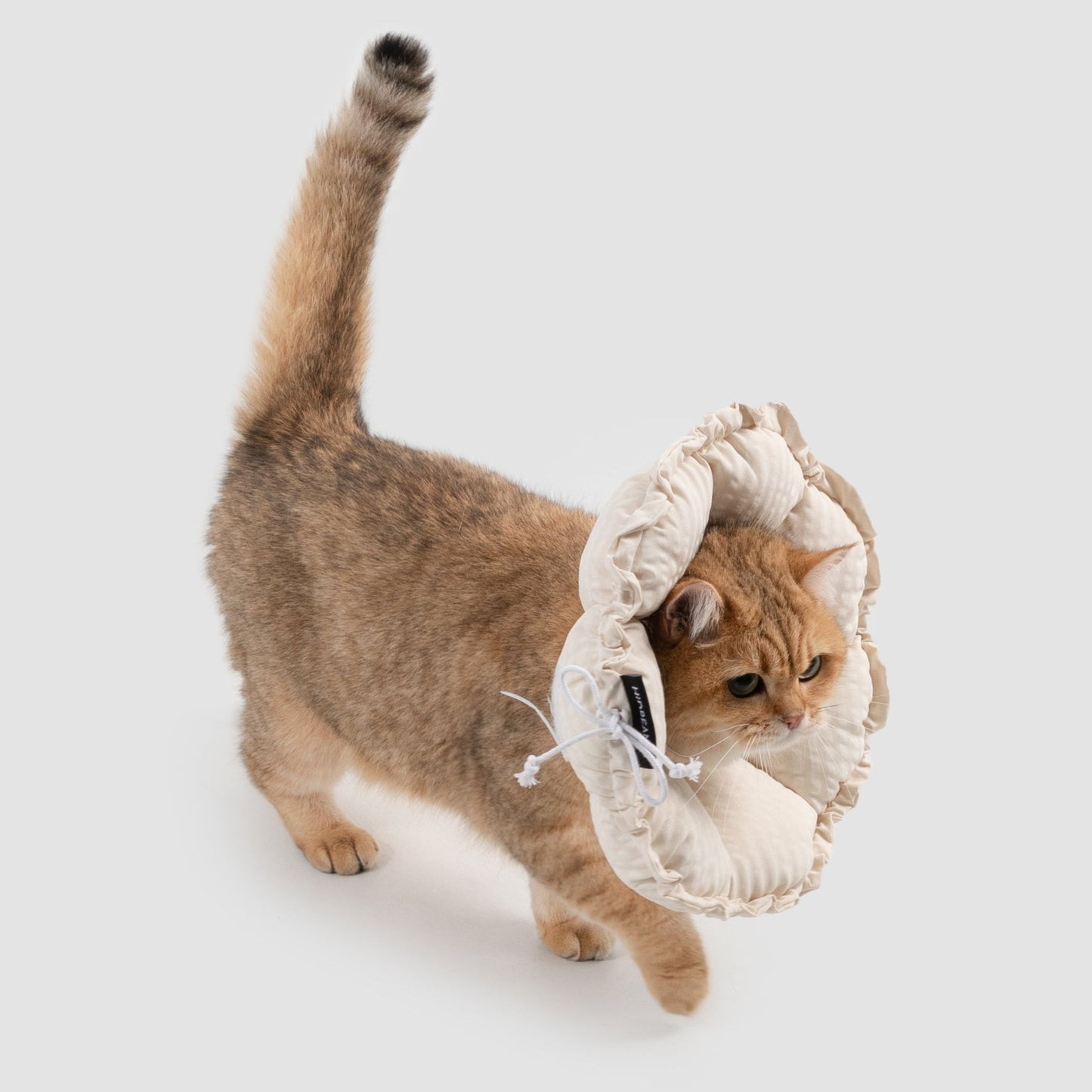 Flower Shaped Elizabeth Collar for Dog & Cat [Egg White - New]