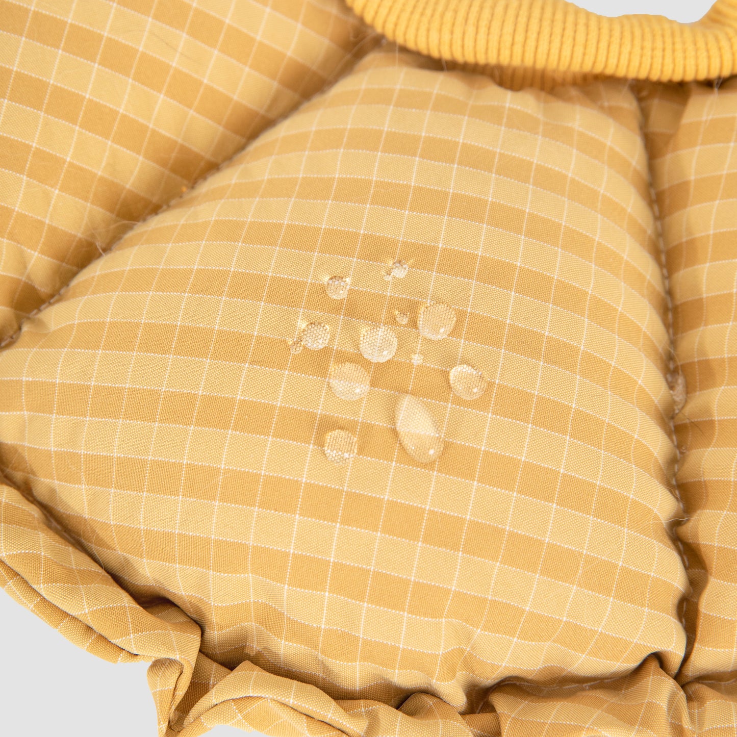Flower Shaped Elizabeth Collar for Dog & Cat [Daisy Yellow - New]
