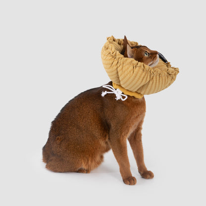 Flower Shaped Elizabeth Collar for Dog & Cat [Daisy Yellow - New]