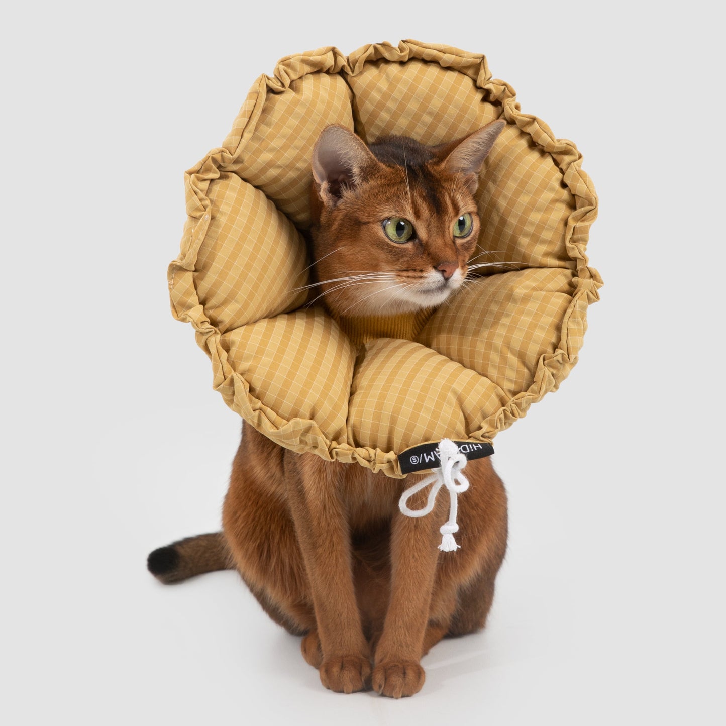 Flower Shaped Elizabeth Collar for Dog & Cat [Daisy Yellow - New]