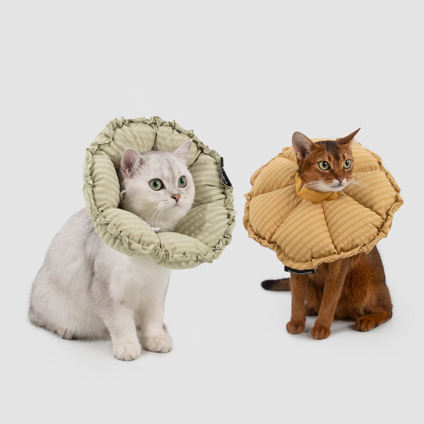 Flower Shaped Elizabeth Collar for Dog & Cat [Lime Green - New]
