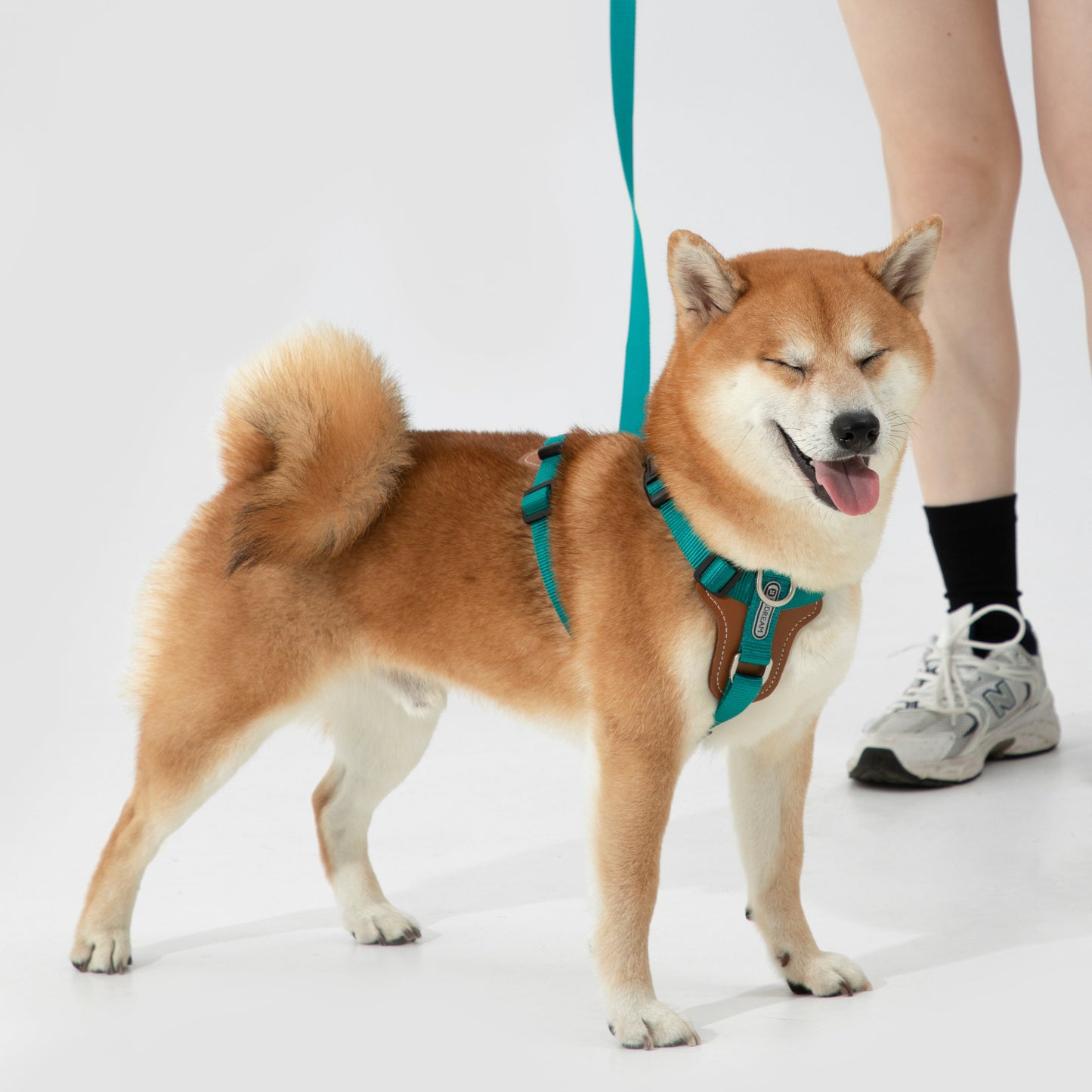 BOBO Series Leather I-shape Dog Harness [Aden Green]
