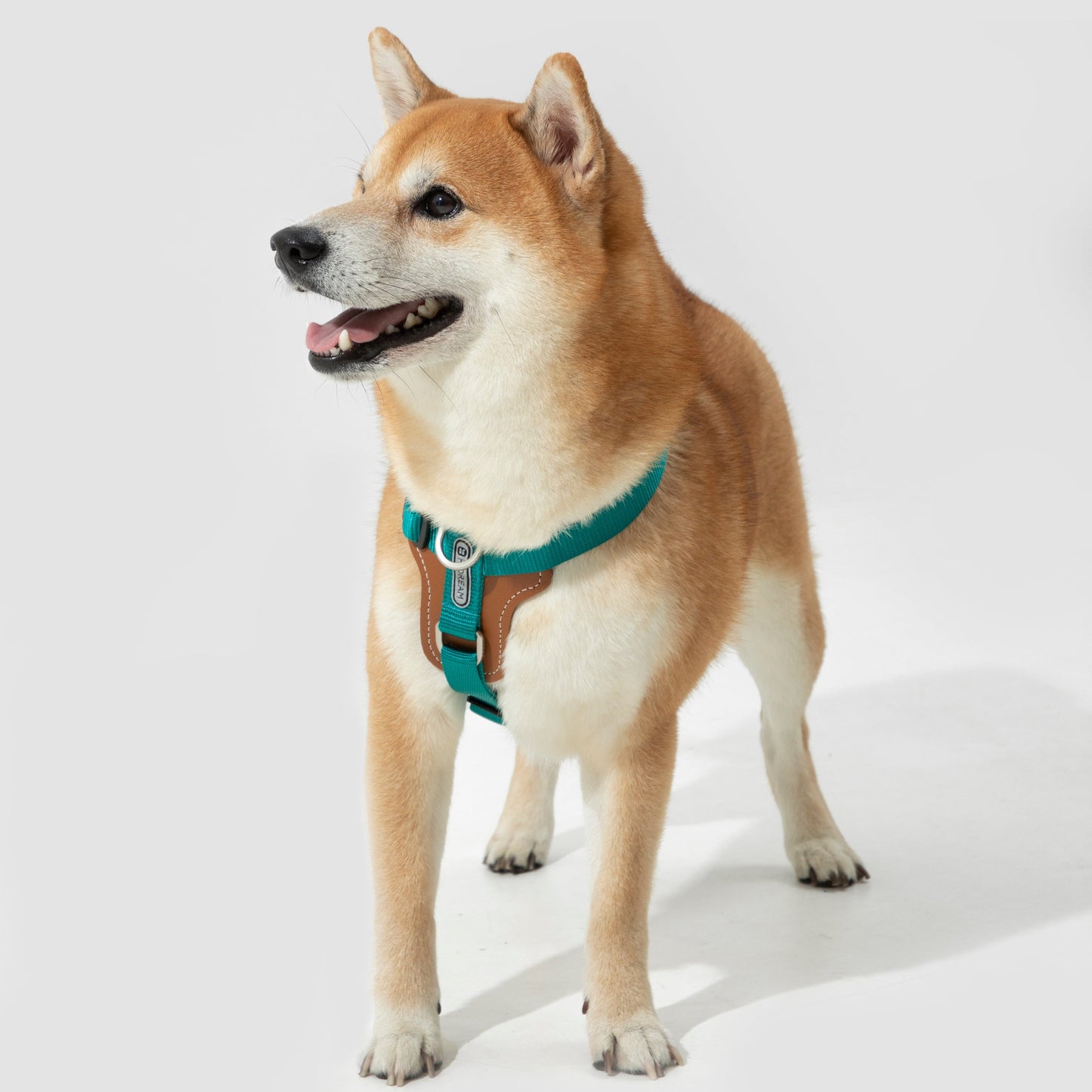 BOBO Series Leather I-shape Dog Harness [Aden Green]