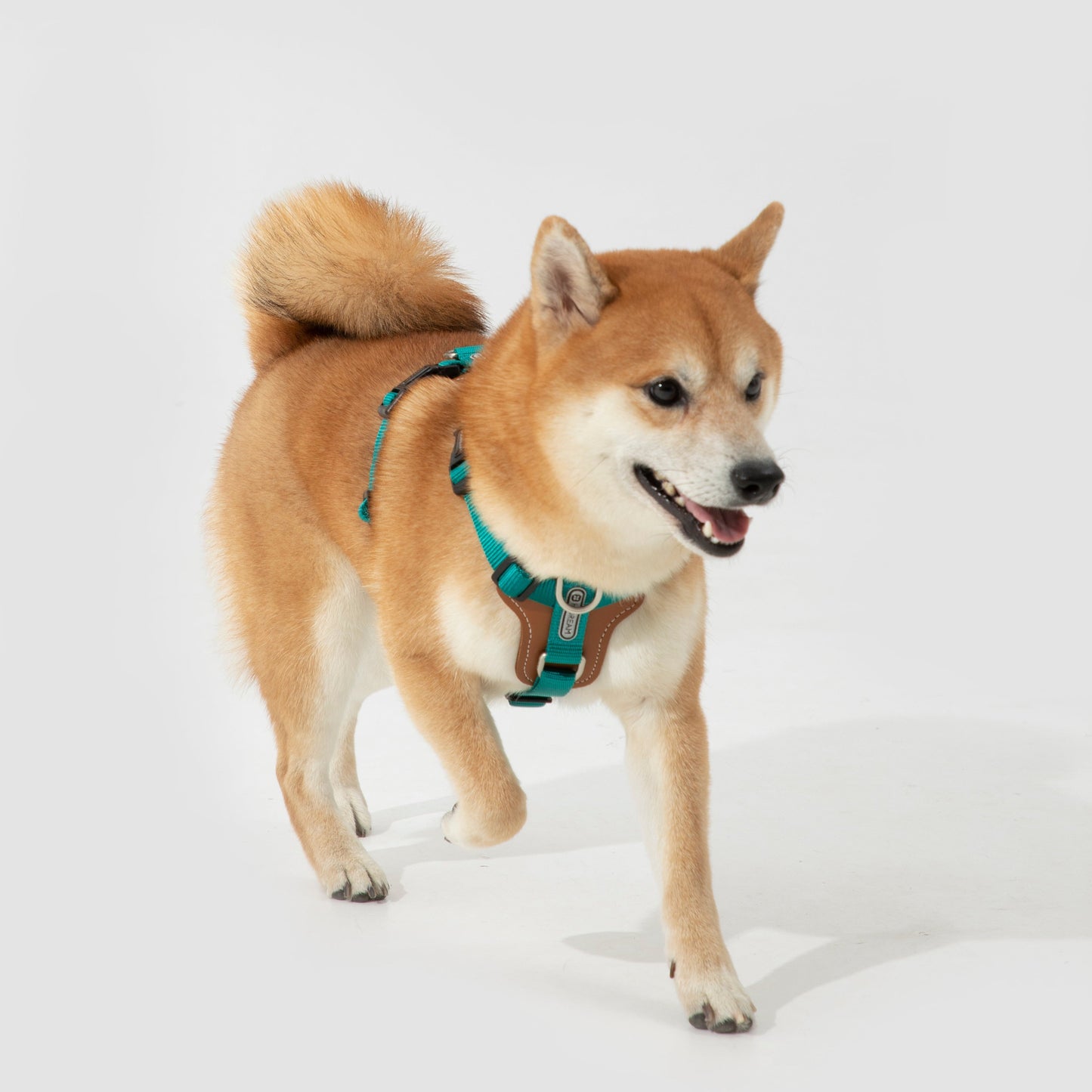 BOBO Series Leather I-shape Dog Harness [Aden Green]