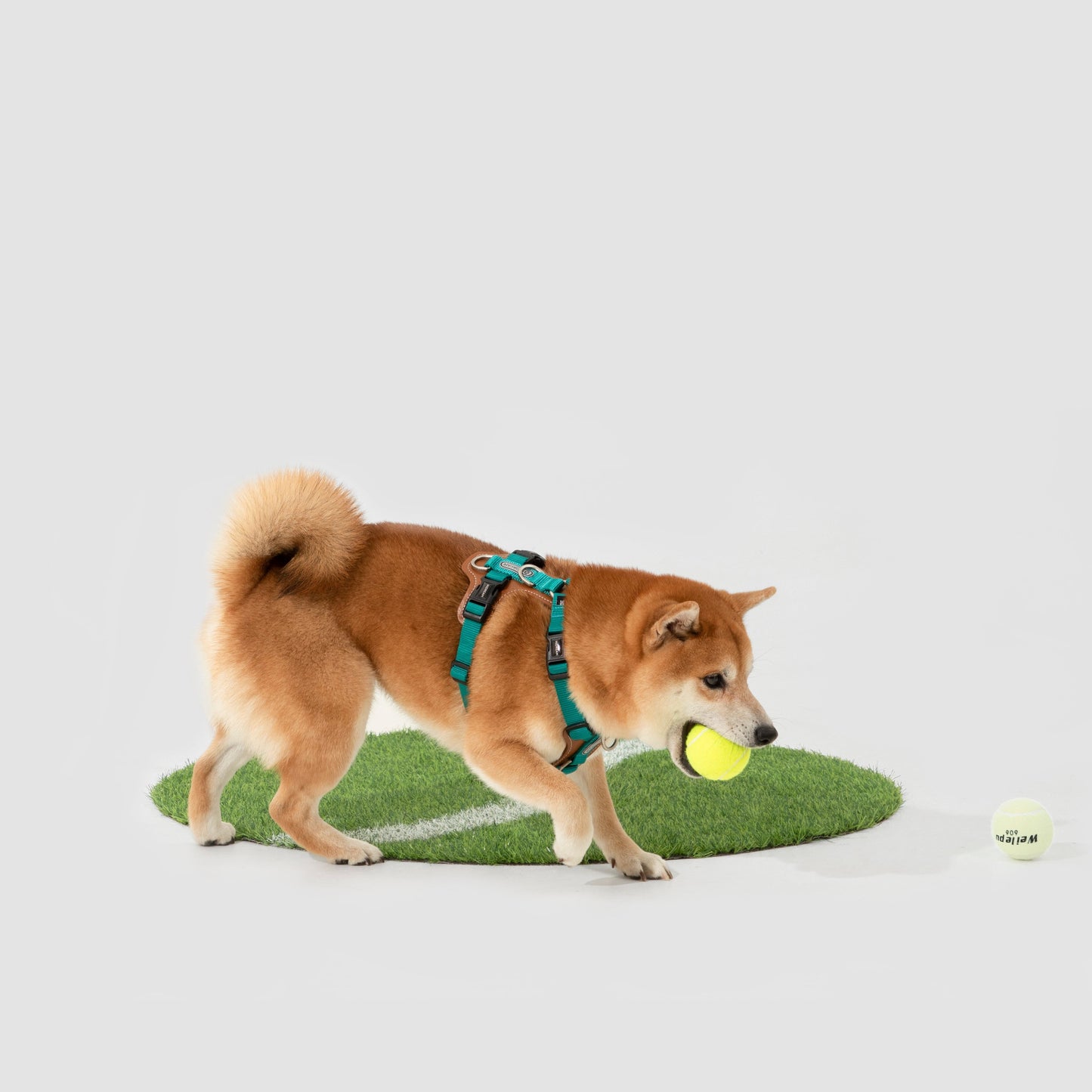 BOBO Series Leather I-shape Dog Harness [Aden Green]
