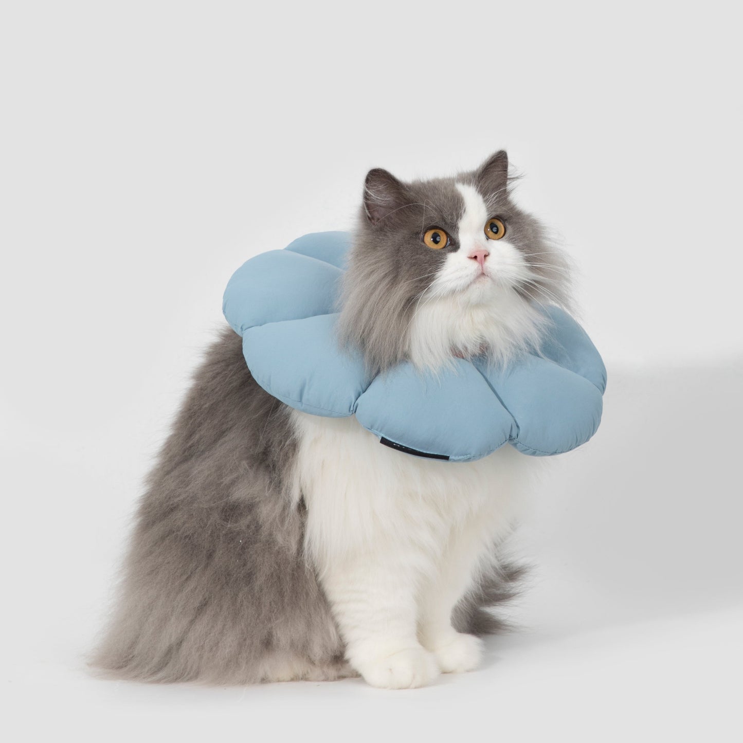 Flower Shaped Elizabethan Rings Dog & Cat Recovery Collar [Charcoal blue]
