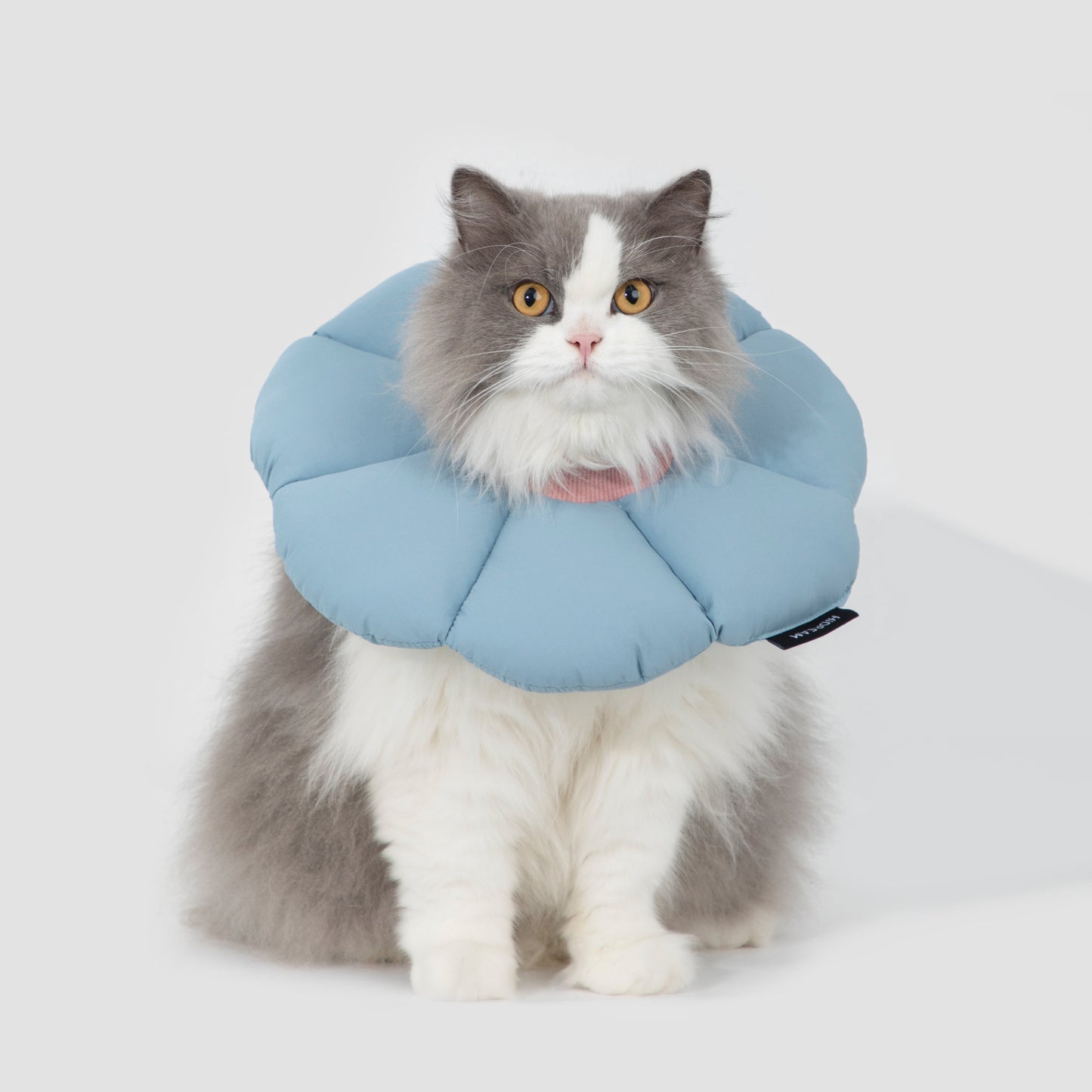 Flower Shaped Elizabethan Rings Dog & Cat Recovery Collar [Charcoal blue]