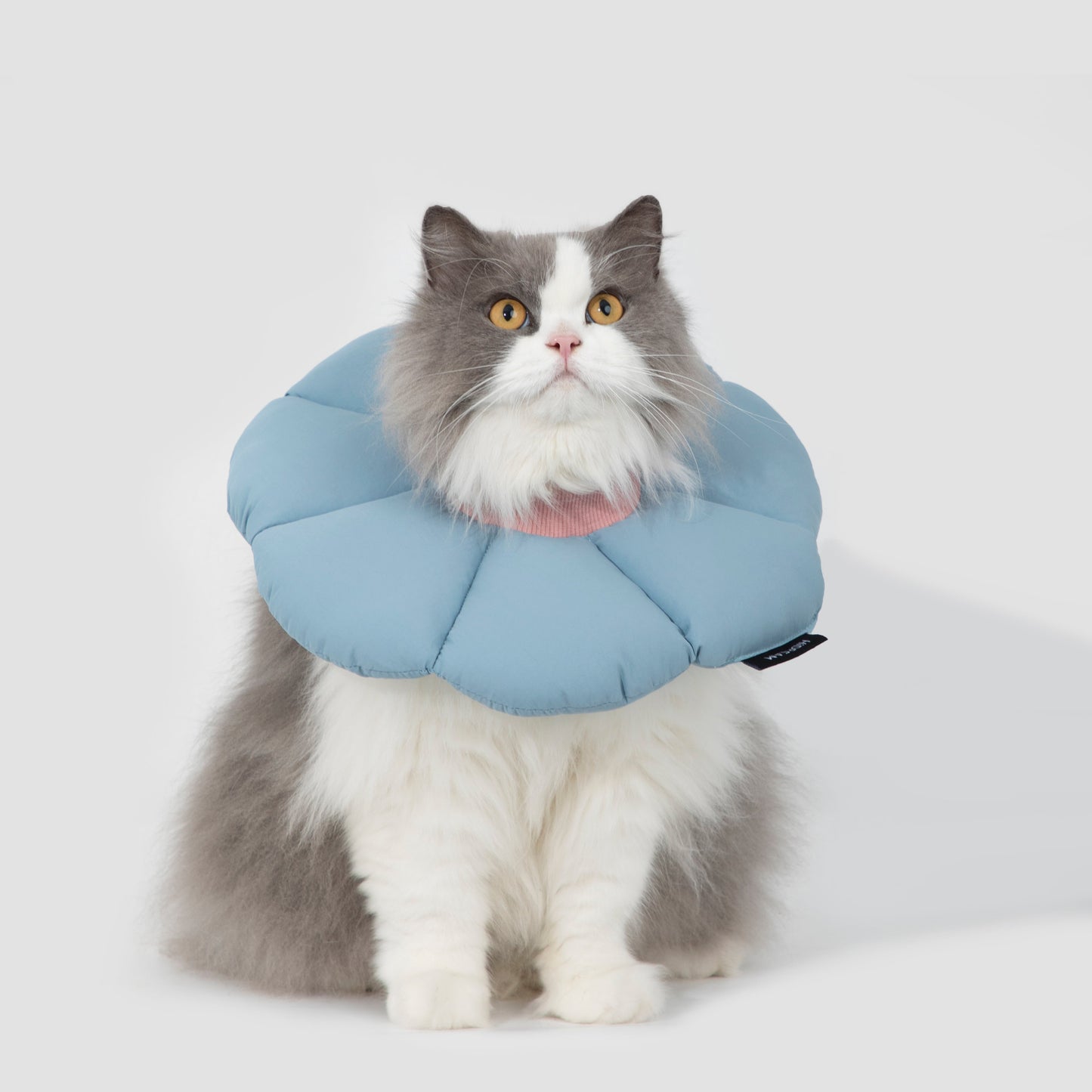 Flower Shaped Elizabethan Rings Dog & Cat Recovery Collar [Charcoal blue]