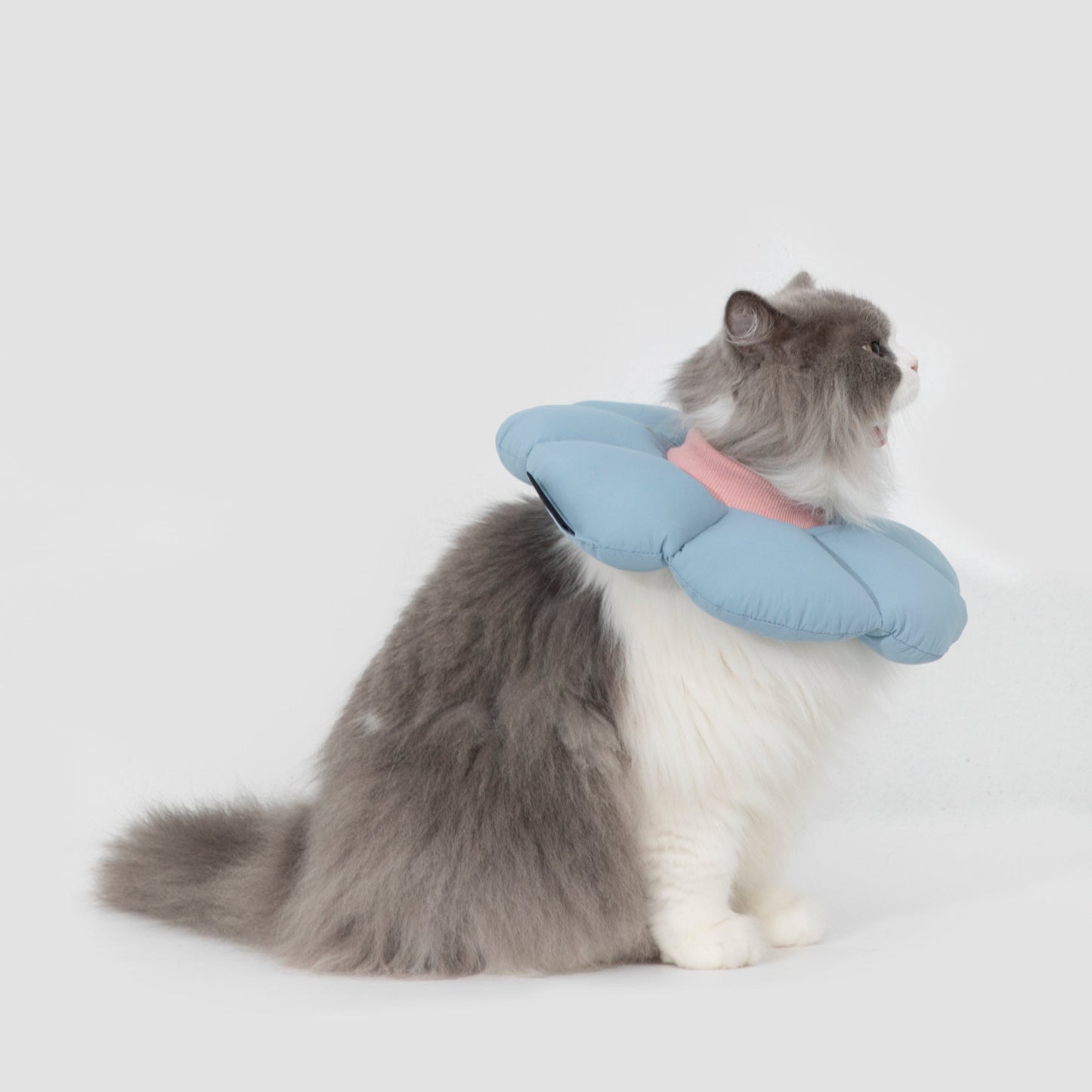 Flower Shaped Elizabethan Rings Dog & Cat Recovery Collar [Charcoal blue]