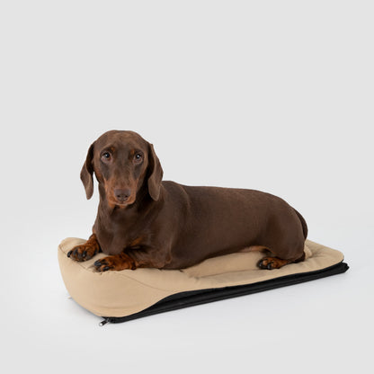 Baguette Style Pet Shoulder Carrier [Nut Brown - Pre-Order]
