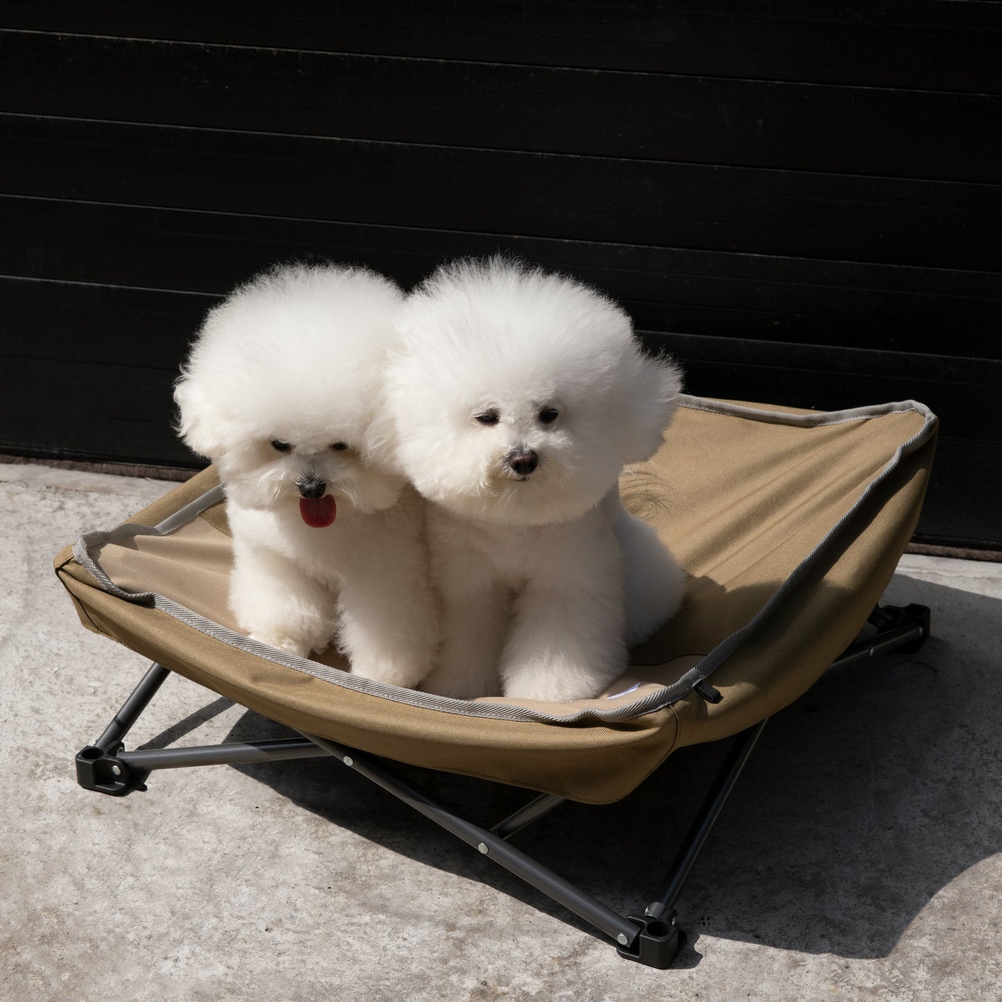 🐾 Portable Multi-Functional Camping Pet Bed [Mossy Brown]