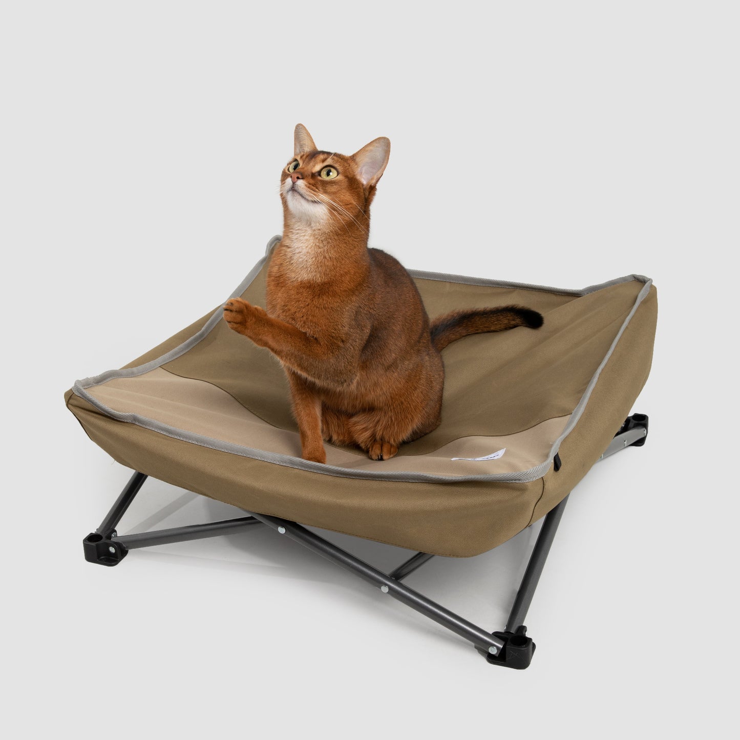 🐾 Portable Multi-Functional Camping Pet Bed [Mossy Brown]