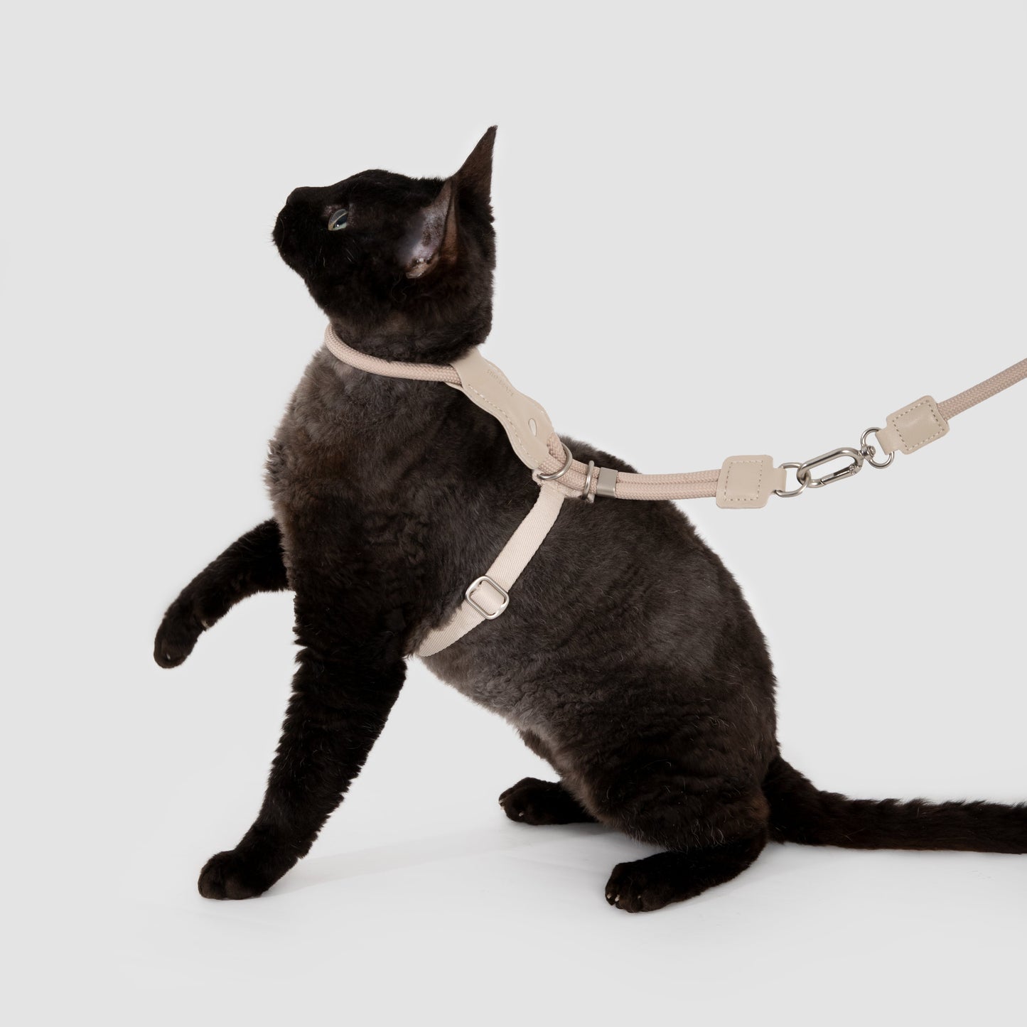 Leather Round Rope Cat Harness & Leash Set [Milk Brown]