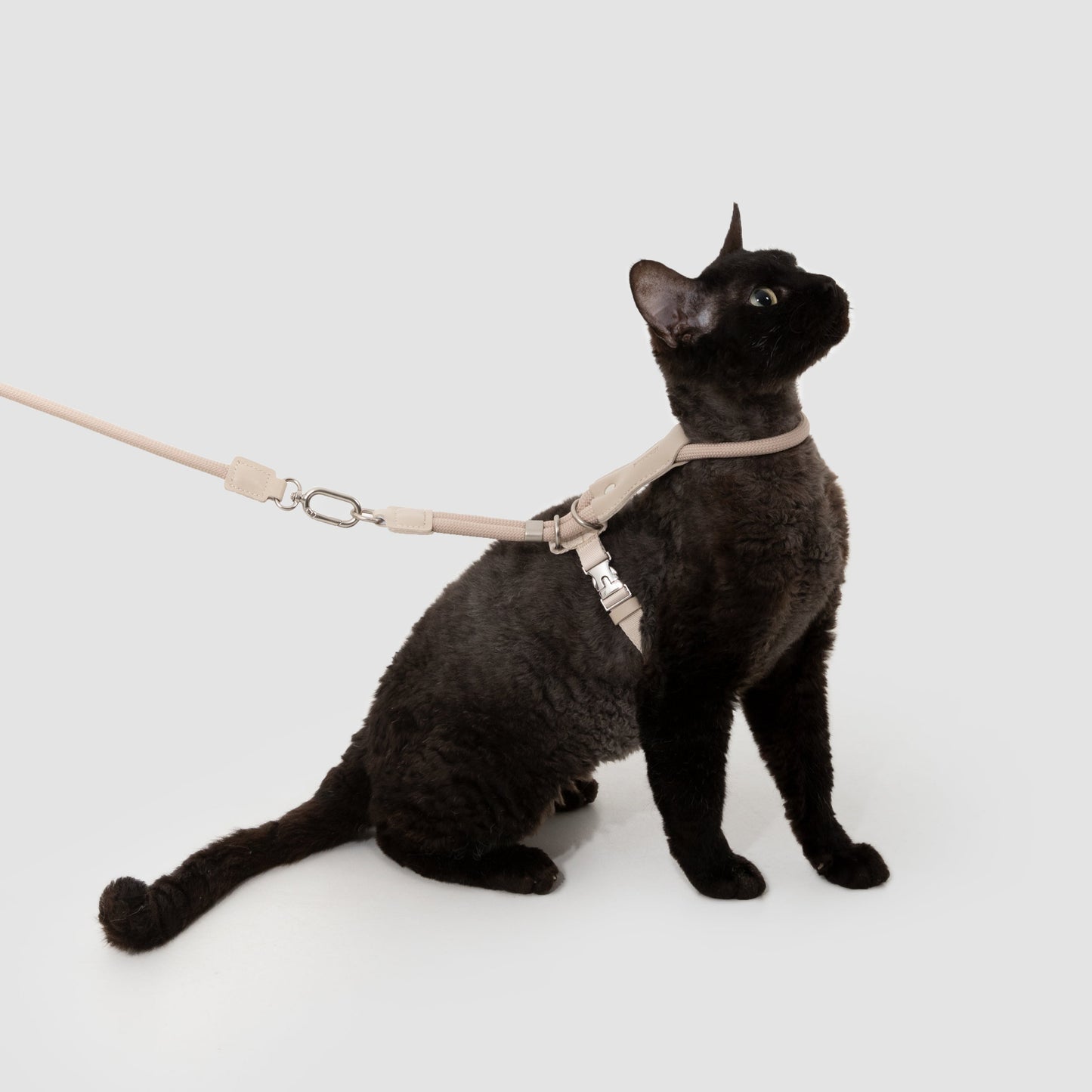 Leather Round Rope Cat Harness & Leash Set [Milk Brown]