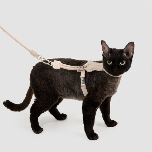 Leather Round Rope Cat Harness & Leash Set [Milk Brown]