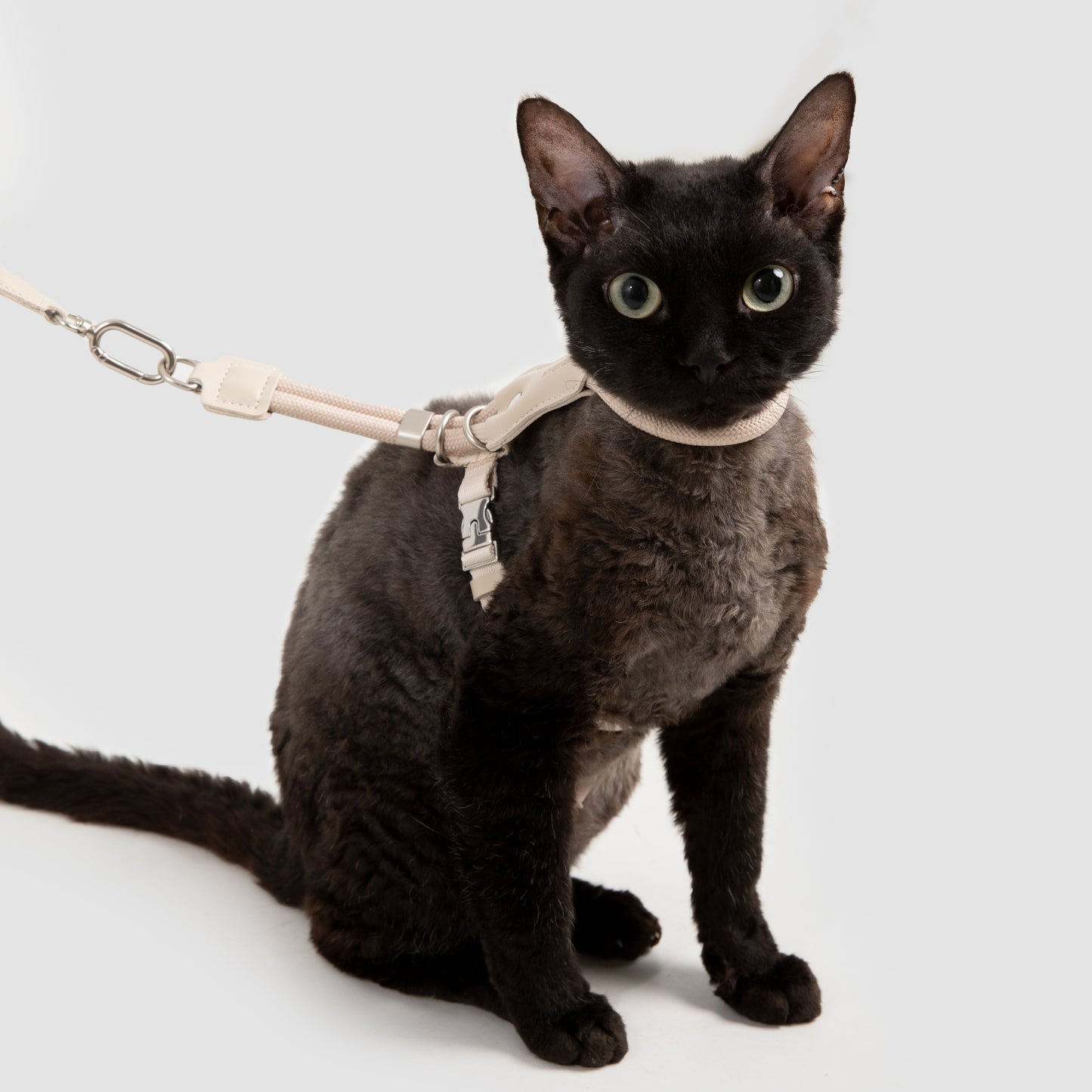Leather Round Rope Cat Harness & Leash Set [Milk Brown]