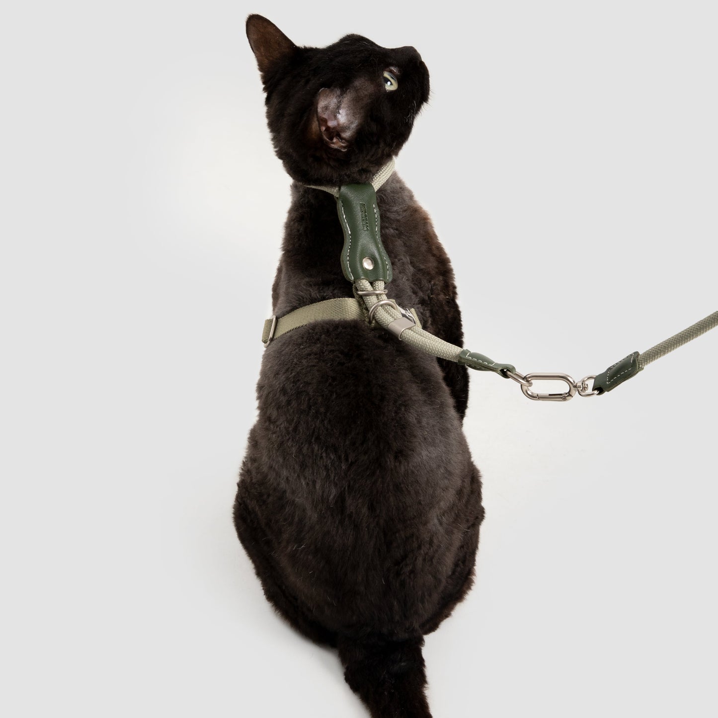 Leather Round Rope Cat Harness & Leash Set [Olive Green]