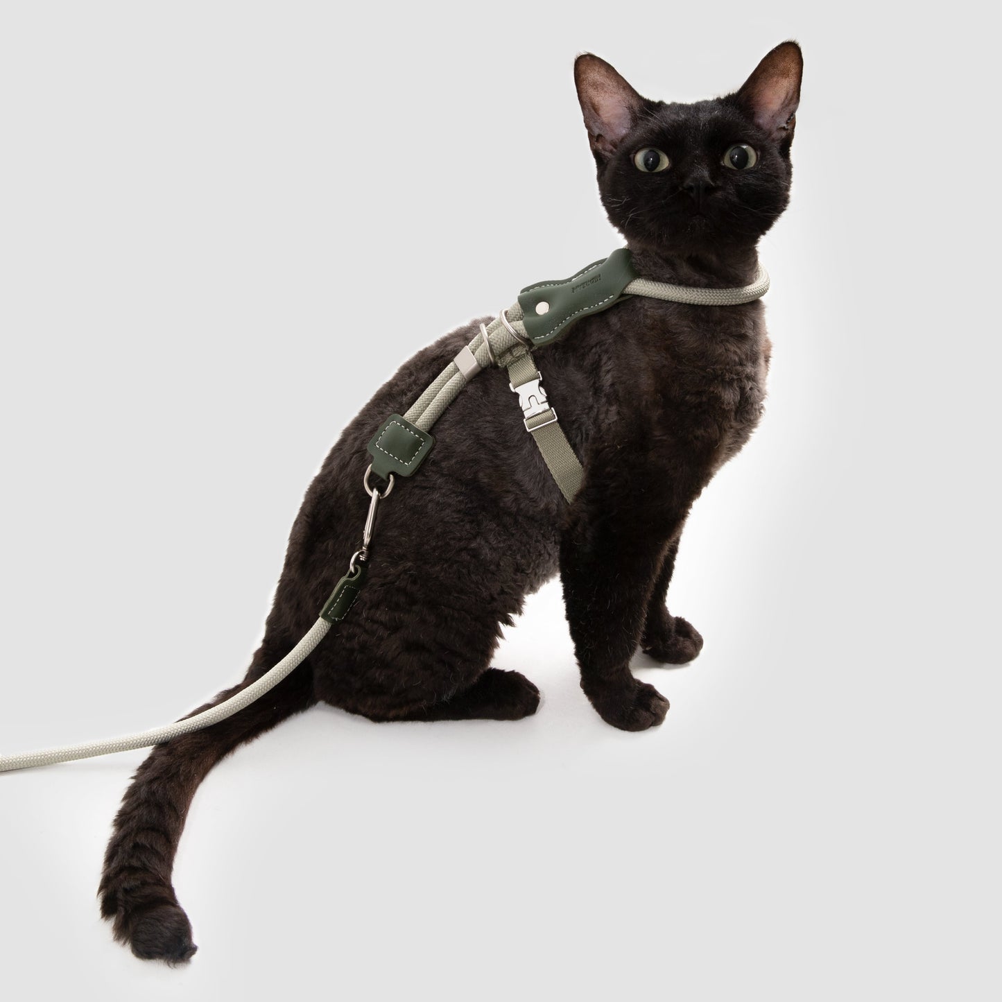 Leather Round Rope Cat Harness & Leash Set [Olive Green]