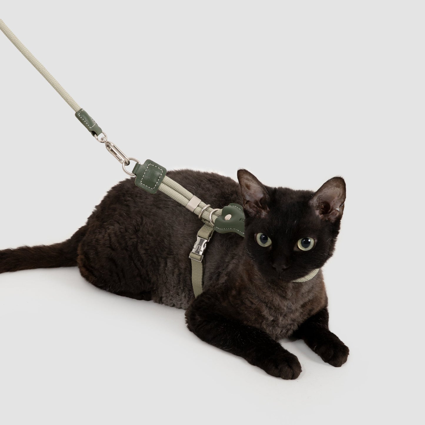 Leather Round Rope Cat Harness & Leash Set [Olive Green]