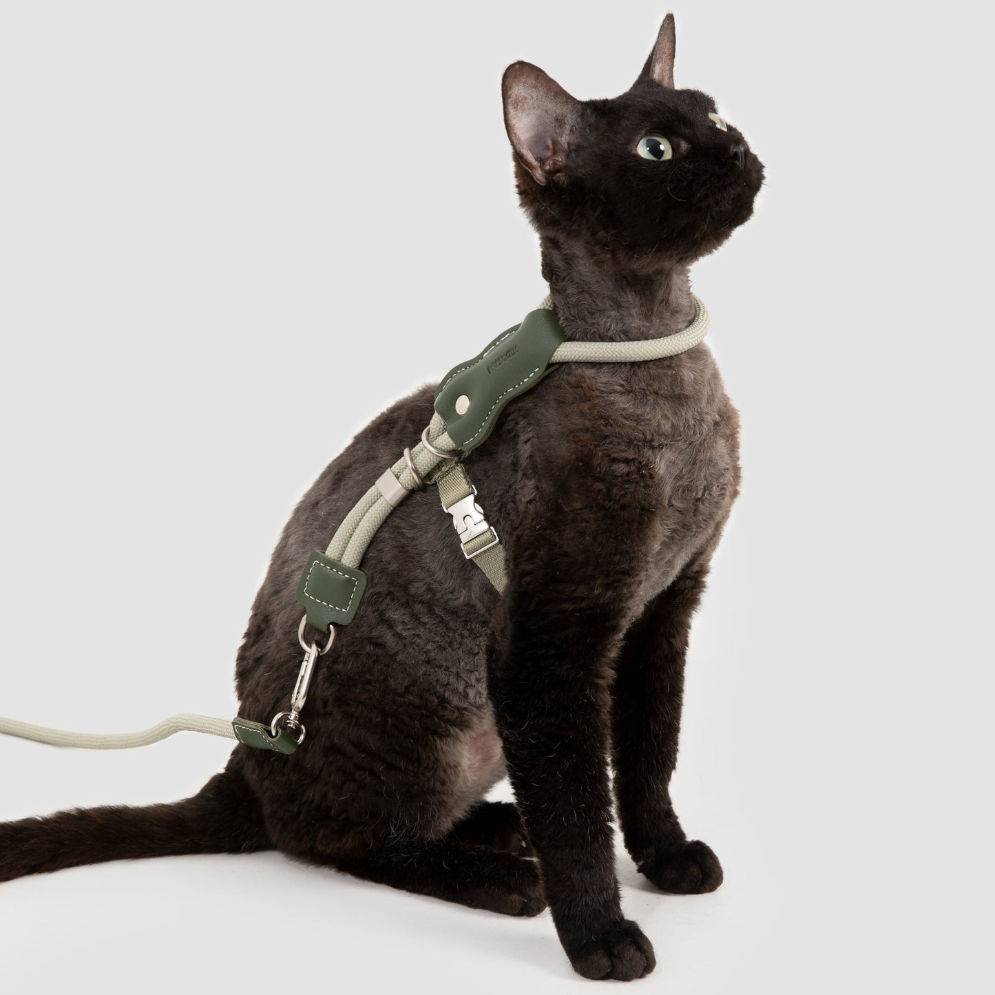 Leather Round Rope Cat Harness & Leash Set [Olive Green]